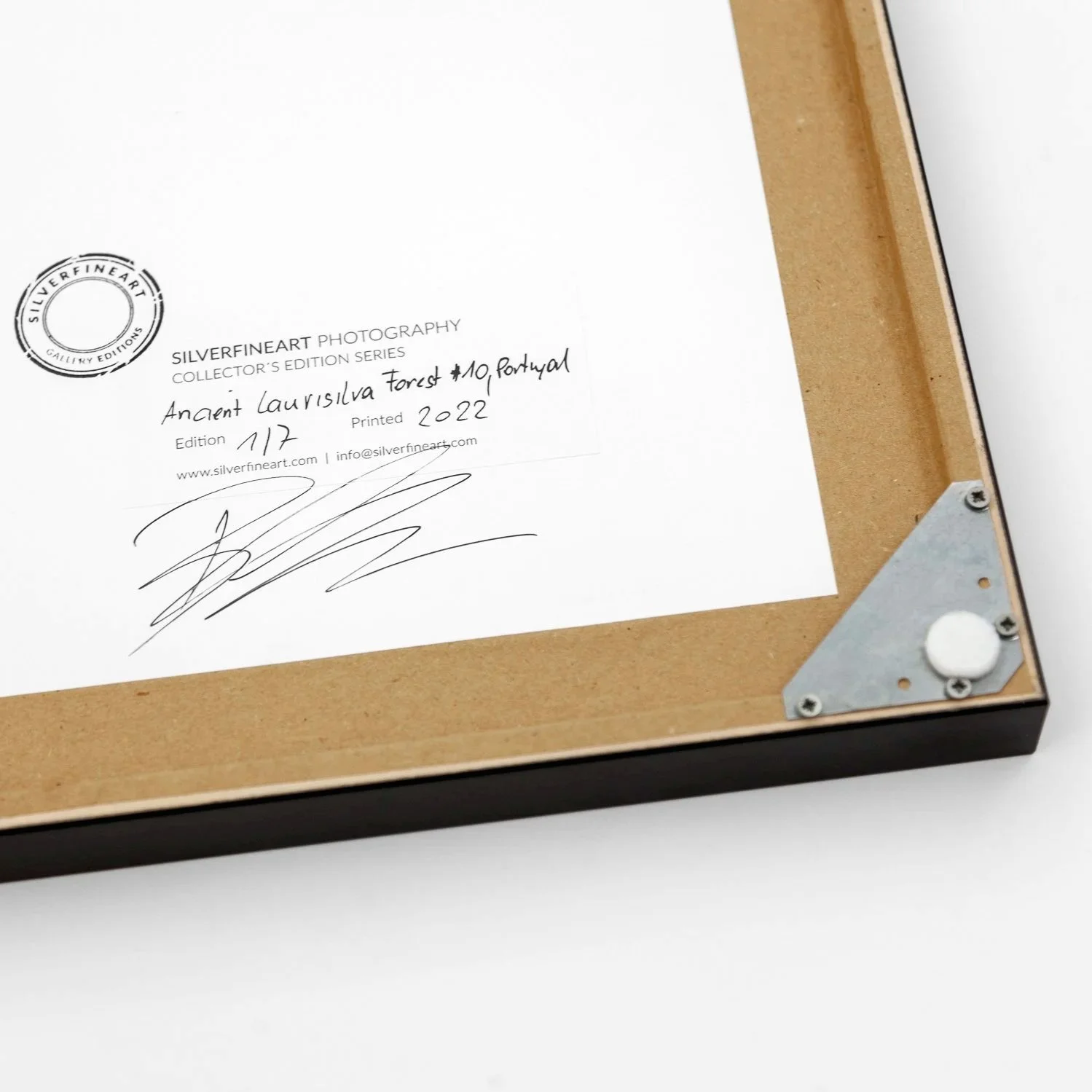 Reverse detail of Ancient Laurisilva Forest Study 10 by Gerald Berghammer, showing the SILVERFINEART stamp, edition 1/7 and signature.