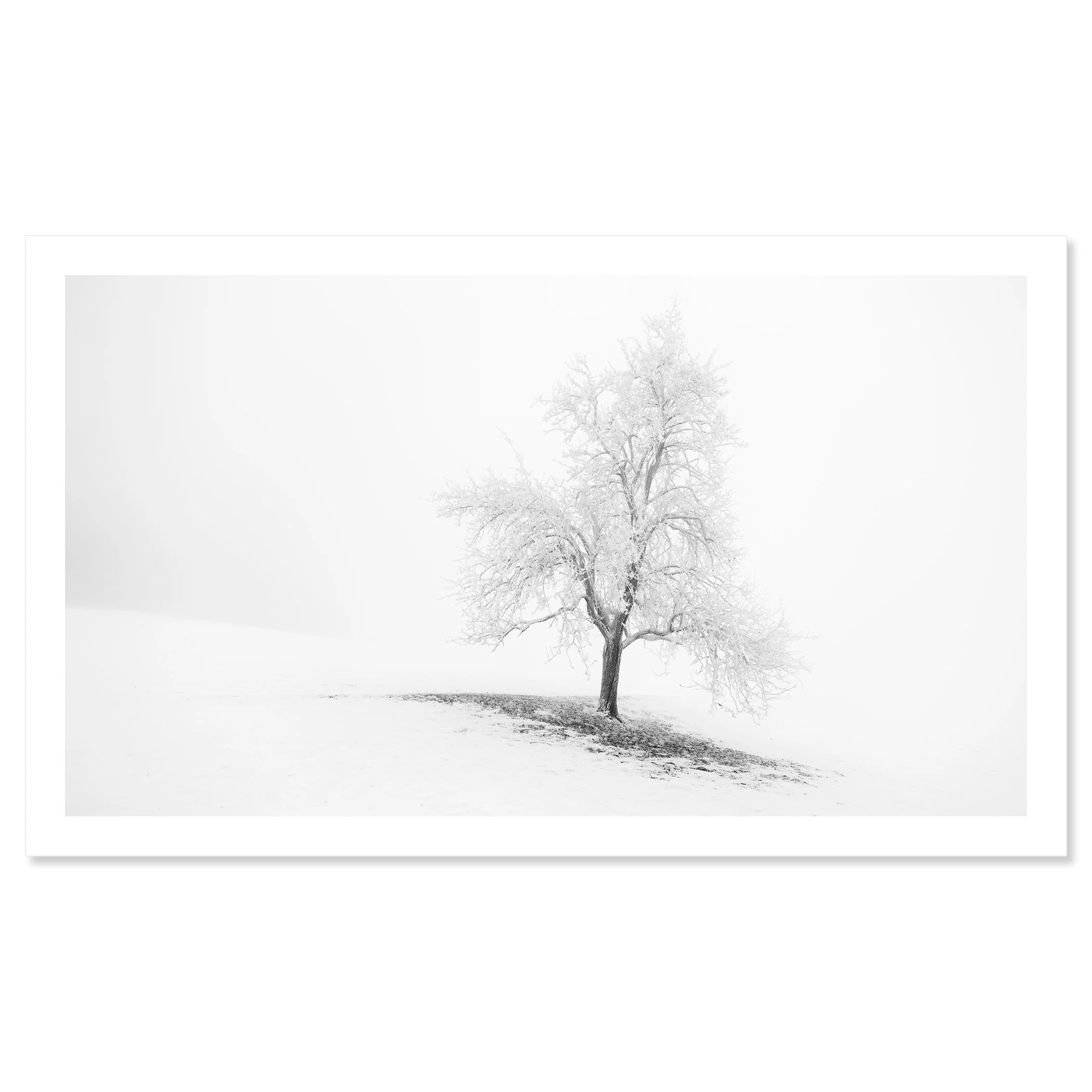Frosted Winter Tree Panorama – Austria, black-and-white fine art print on baryta paper with a white border