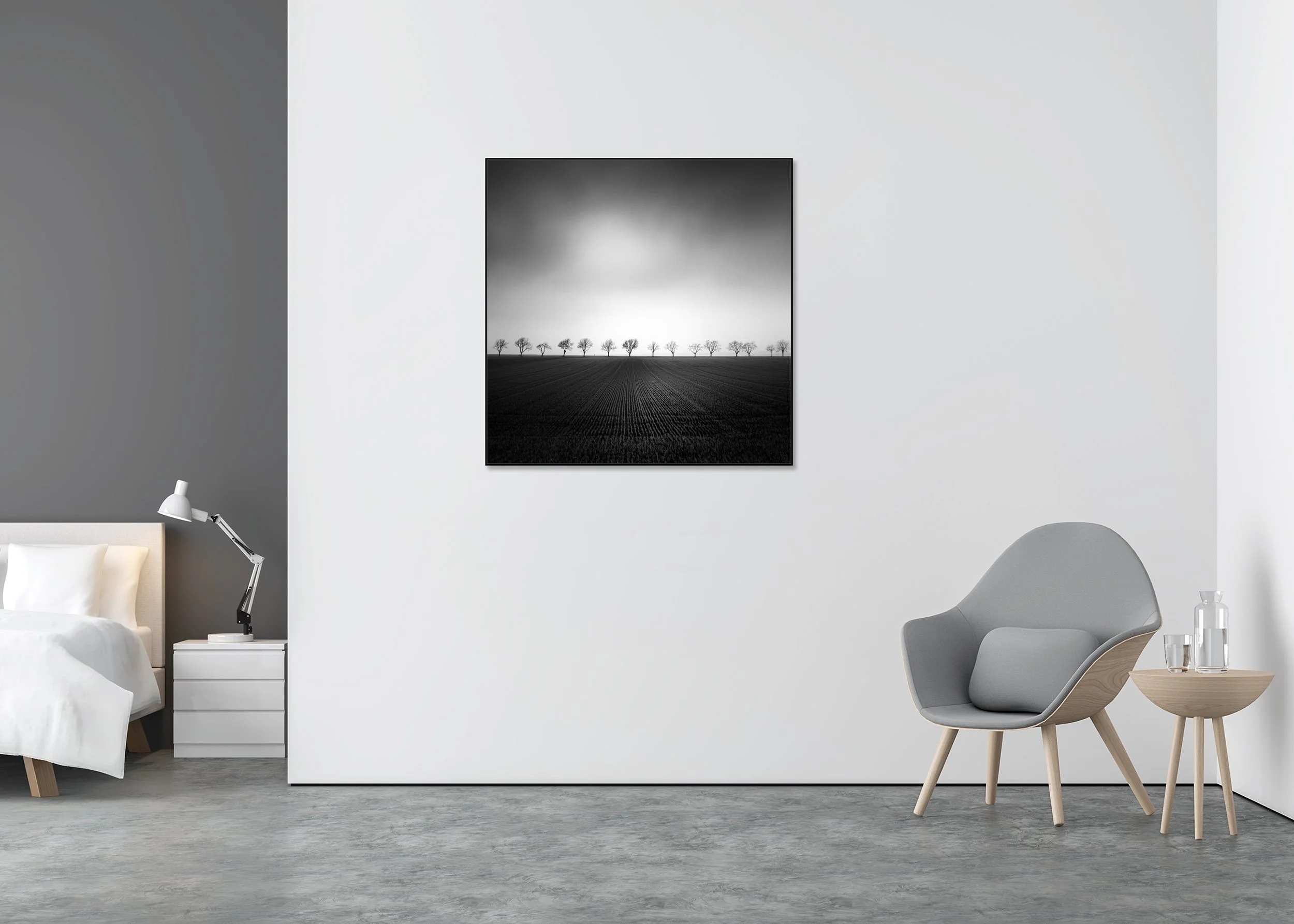 Cherry Tree Avenue, Study 2 – black-and-white photo print mounted on aluminium Dibond in an aluminium ArtBox.