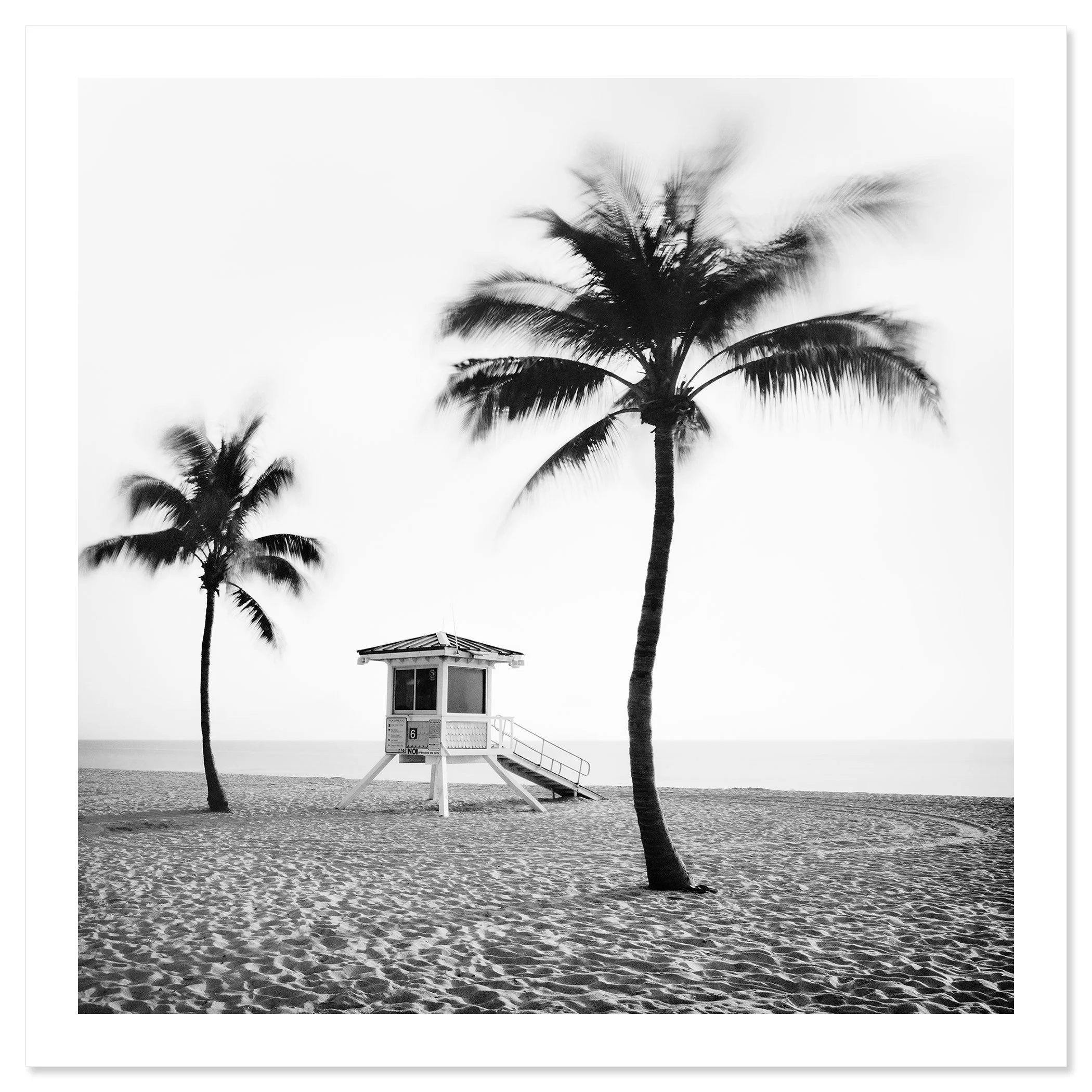Fort Lauderdale Beach, Study 4 by Gerald Berghammer, black-and-white fine art print with a white border showing palm trees and a lifeguard tower.