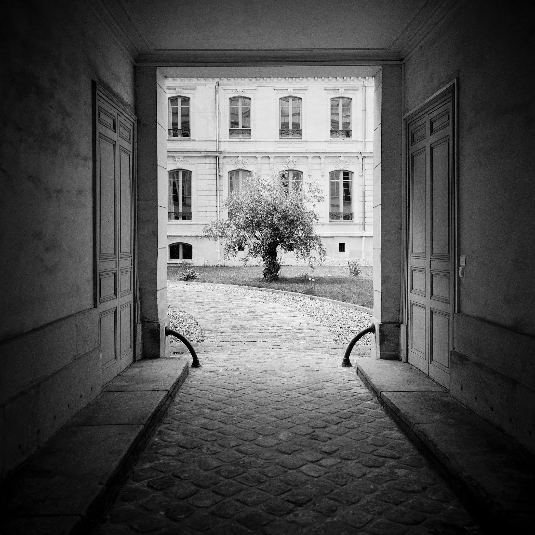 Tree in the Courtyard, an analogue black-and-white photograph of a solitary tree framed by historic Parisian architecture by Gerald Berghammer.