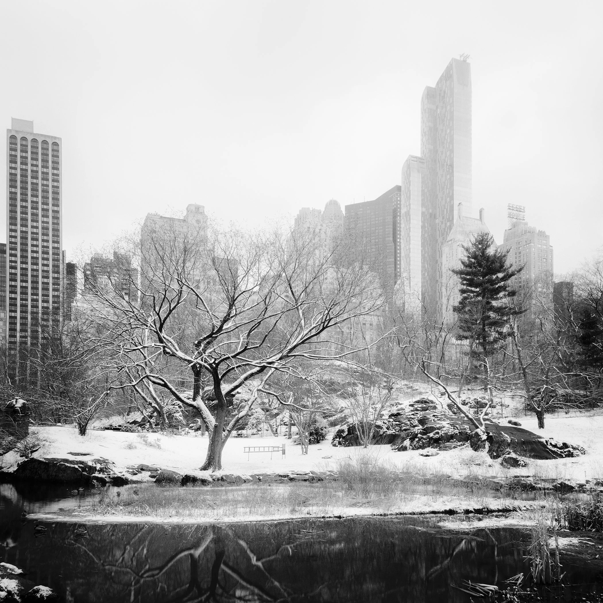 Snow-Covered Central Park Study 7 by Gerald Berghammer, analogue black-and-white photograph of a snow-covered tree, lake reflections and the Manhattan skyline.