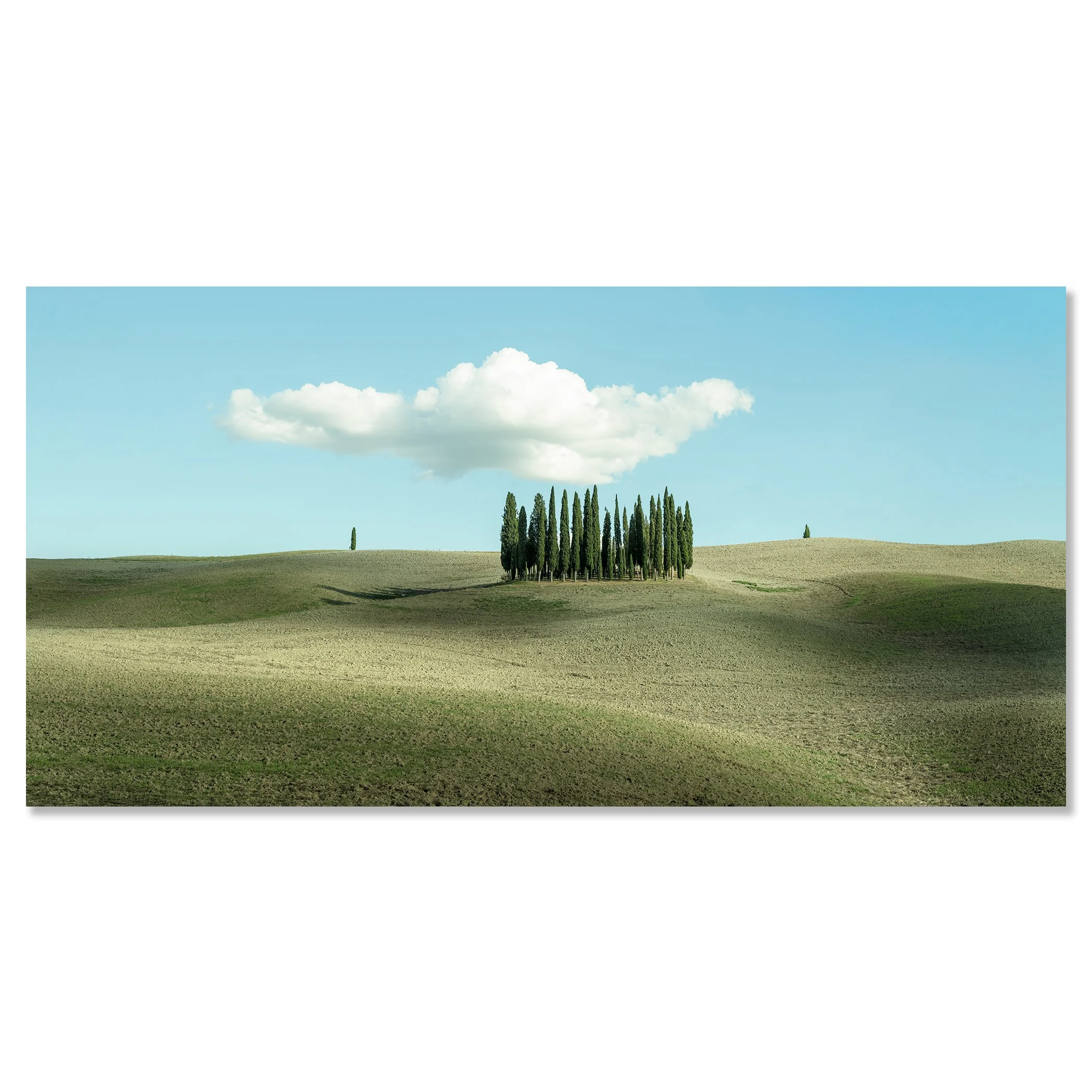 © 2023 Gerald Berghammer - Color minimalist photography. Open landscape with rolling hills, a small cluster of tall, thin green trees, and a large, fluffy cloud in the sky. Chromaluxe frameless