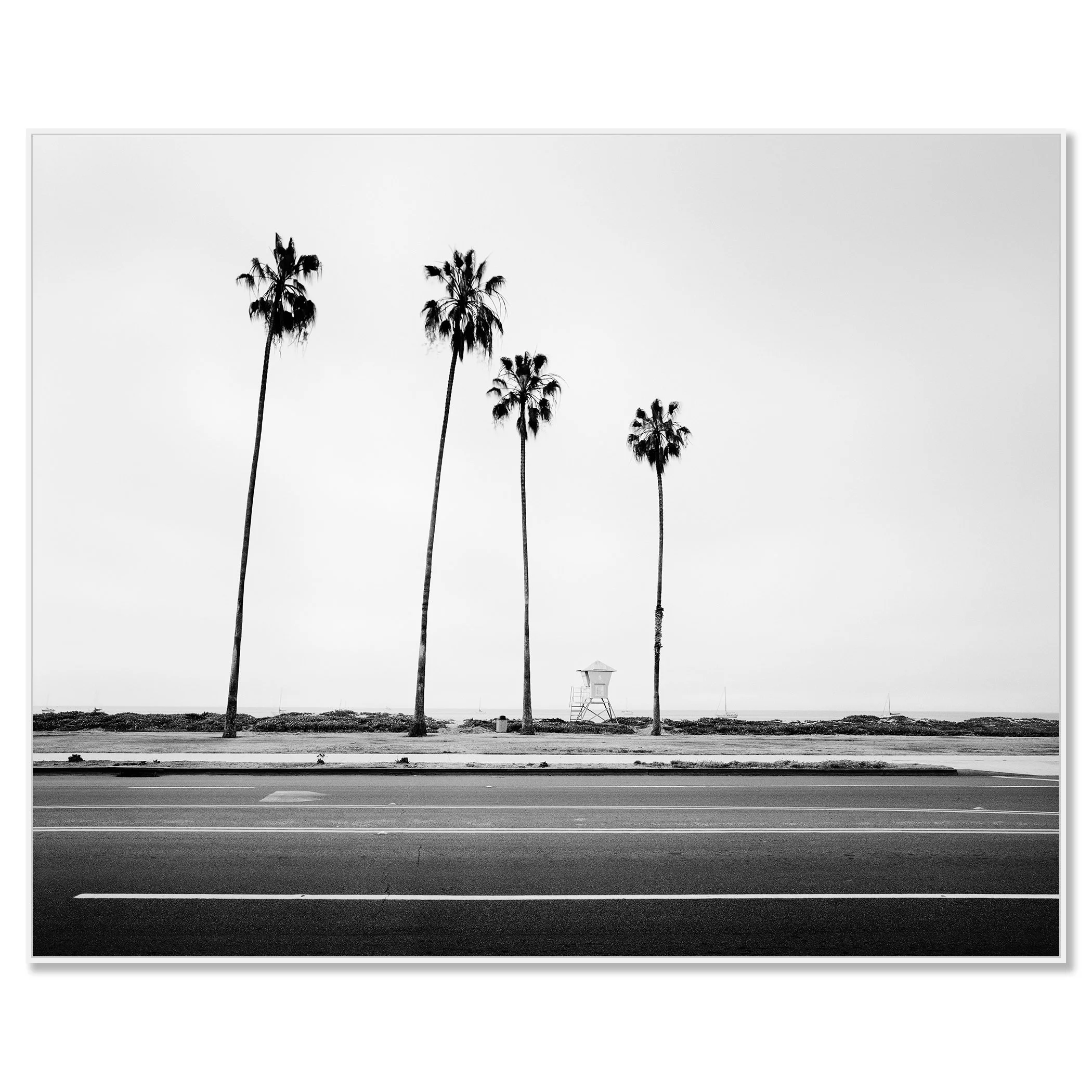 Palm Tree Study 4 presented on aluminium Dibond in a white ArtBox frame by Gerald Berghammer.
