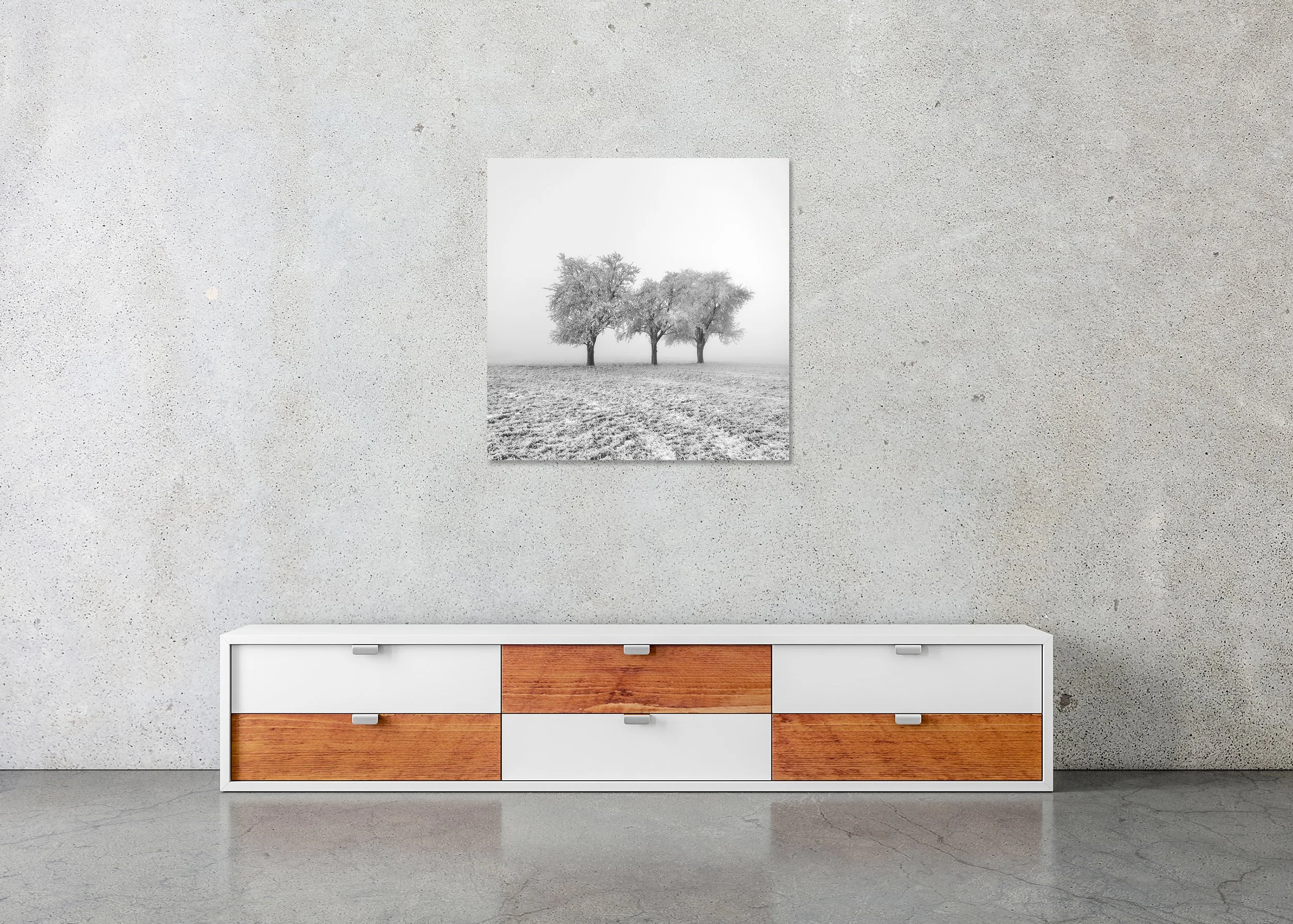 Frozen Apple Trees Study 1 displayed in a modern interior as a frameless black-and-white aluminium Dibond print by Gerald Berghammer.