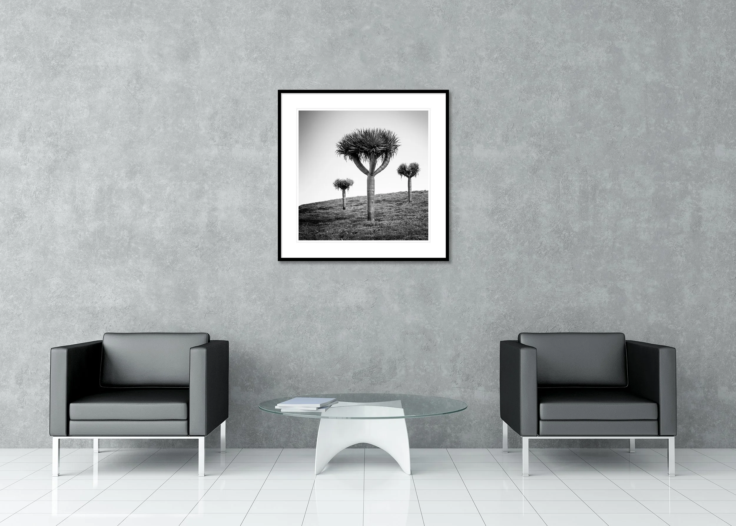 Dawn with three dragon trees in a minimalist landscape, Madeira, Portugal, archival pigment print in a classic frame with a mount.