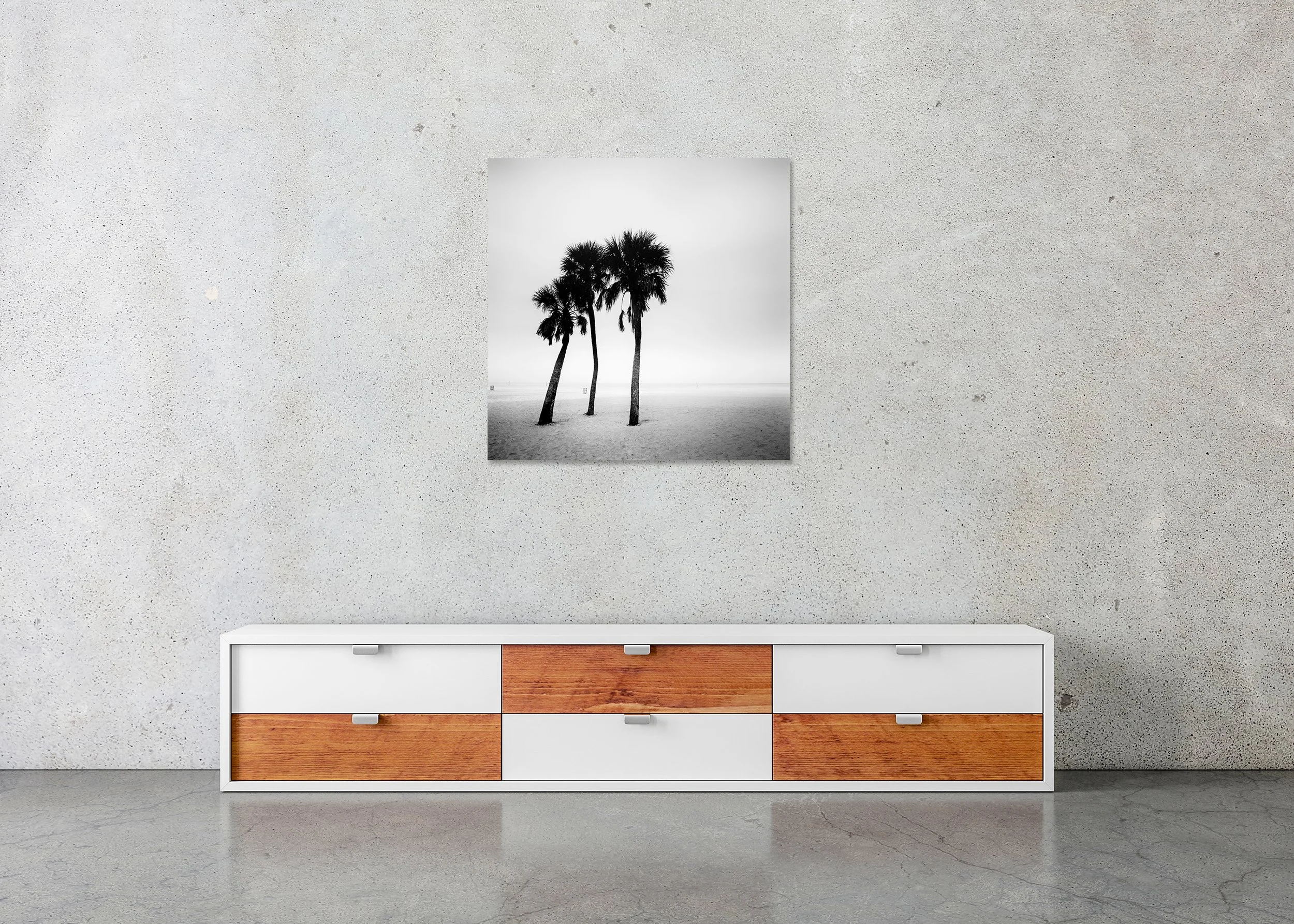 Palm Beach Study 1 displayed in a modern interior as a frameless black-and-white artwork mounted on aluminium Dibond by Gerald Berghammer.