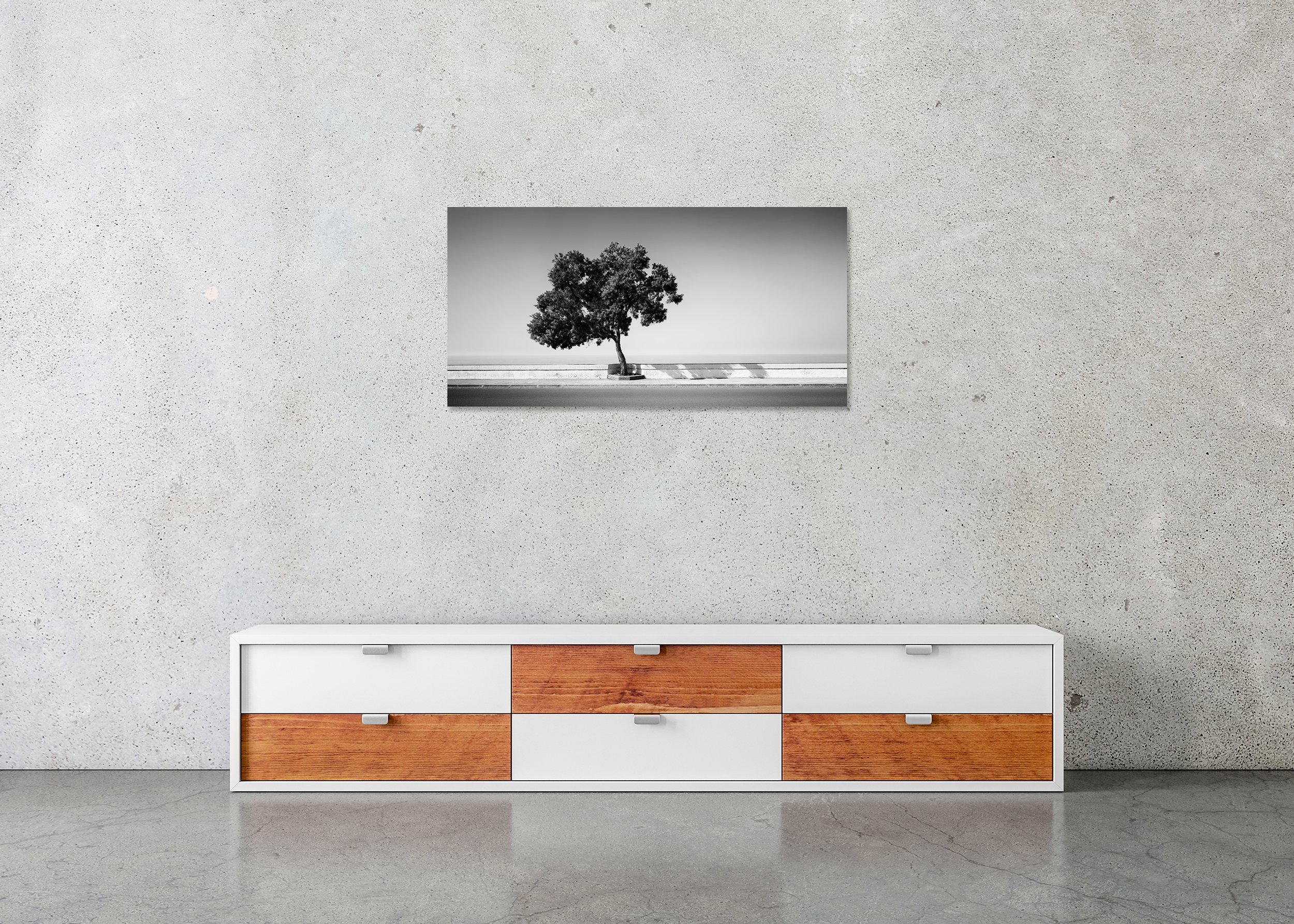 Tree by the Waterfront by Gerald Berghammer, frameless black-and-white Dibond fine art print displayed above a sideboard in a contemporary interior.