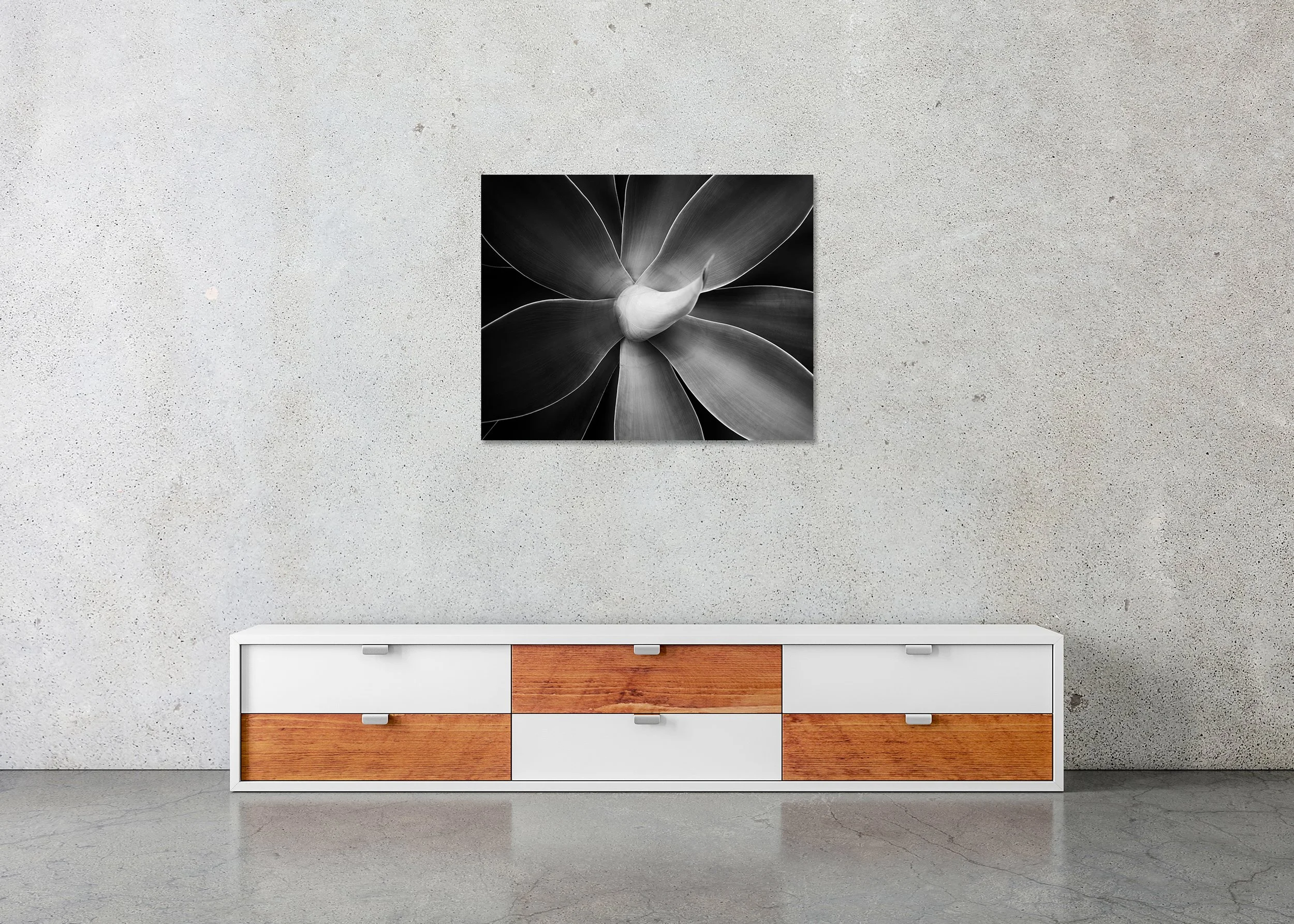 Abstract black-and-white flower macro with layered petals and soft tonal gradients, photo print mounted to Dibond, frameless.