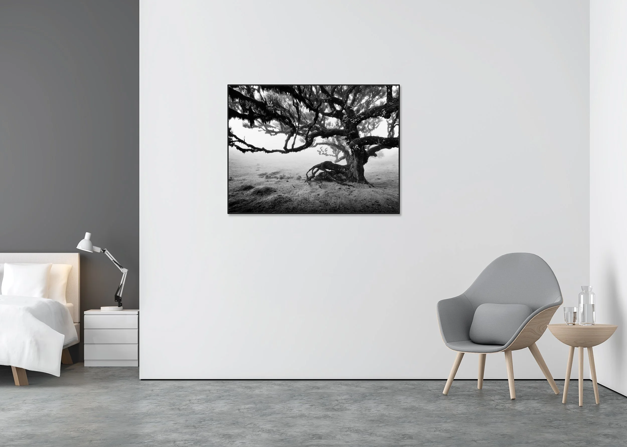 Black-and-white photo of a gnarled tree in misty ancient laurisilva forest as a ChromaLuxe metal print in an Aluminium ArtBox