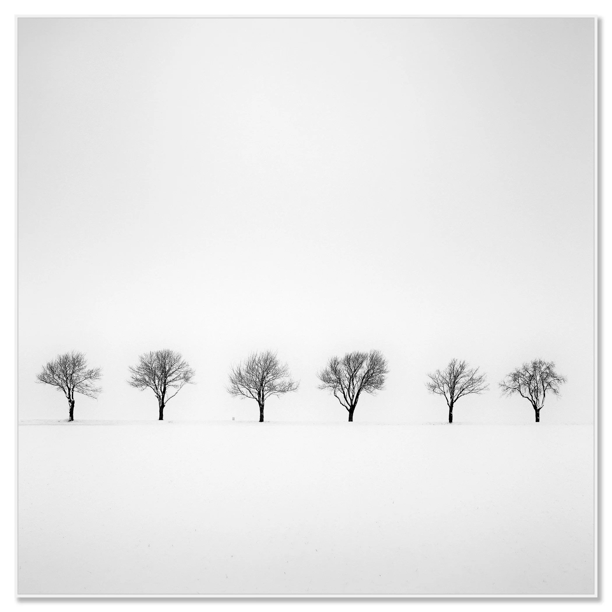 Minimalist winter landscape with trees in a snowy field on a misty morning in Austria – framed ArtBox white