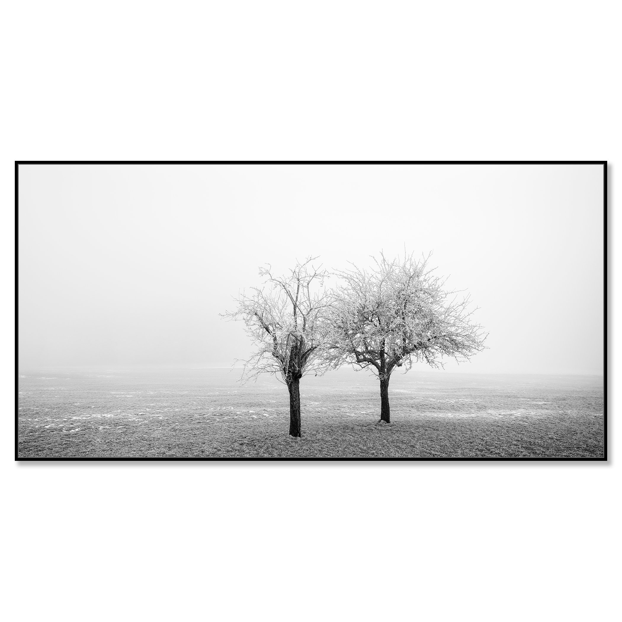 Frozen Trees in a Field Panorama Study 1 mounted on aluminium Dibond in a black ArtBox frame by Gerald Berghammer.