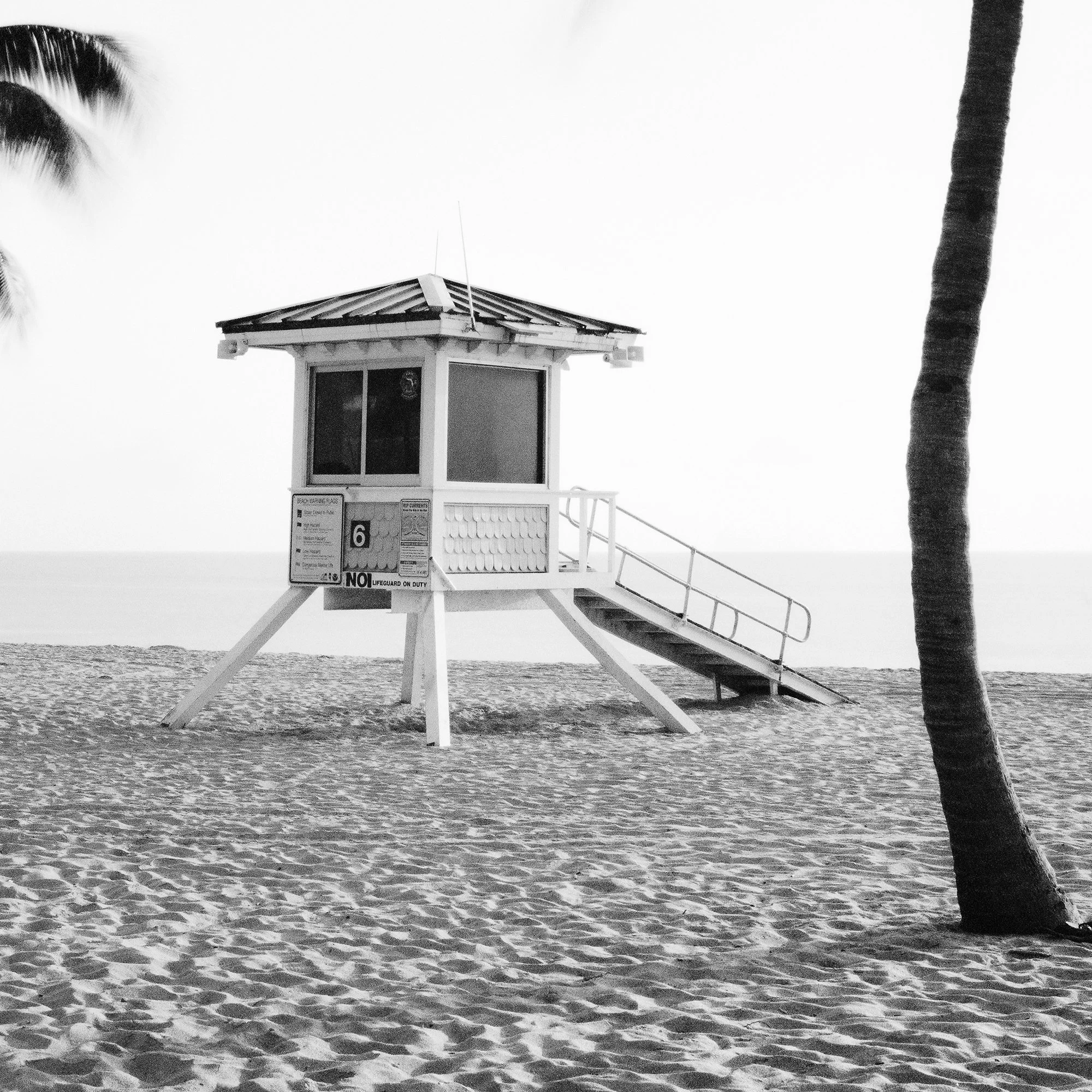 Close-up of the lifeguard tower and palm tree at Fort Lauderdale Beach by Gerald Berghammer.
