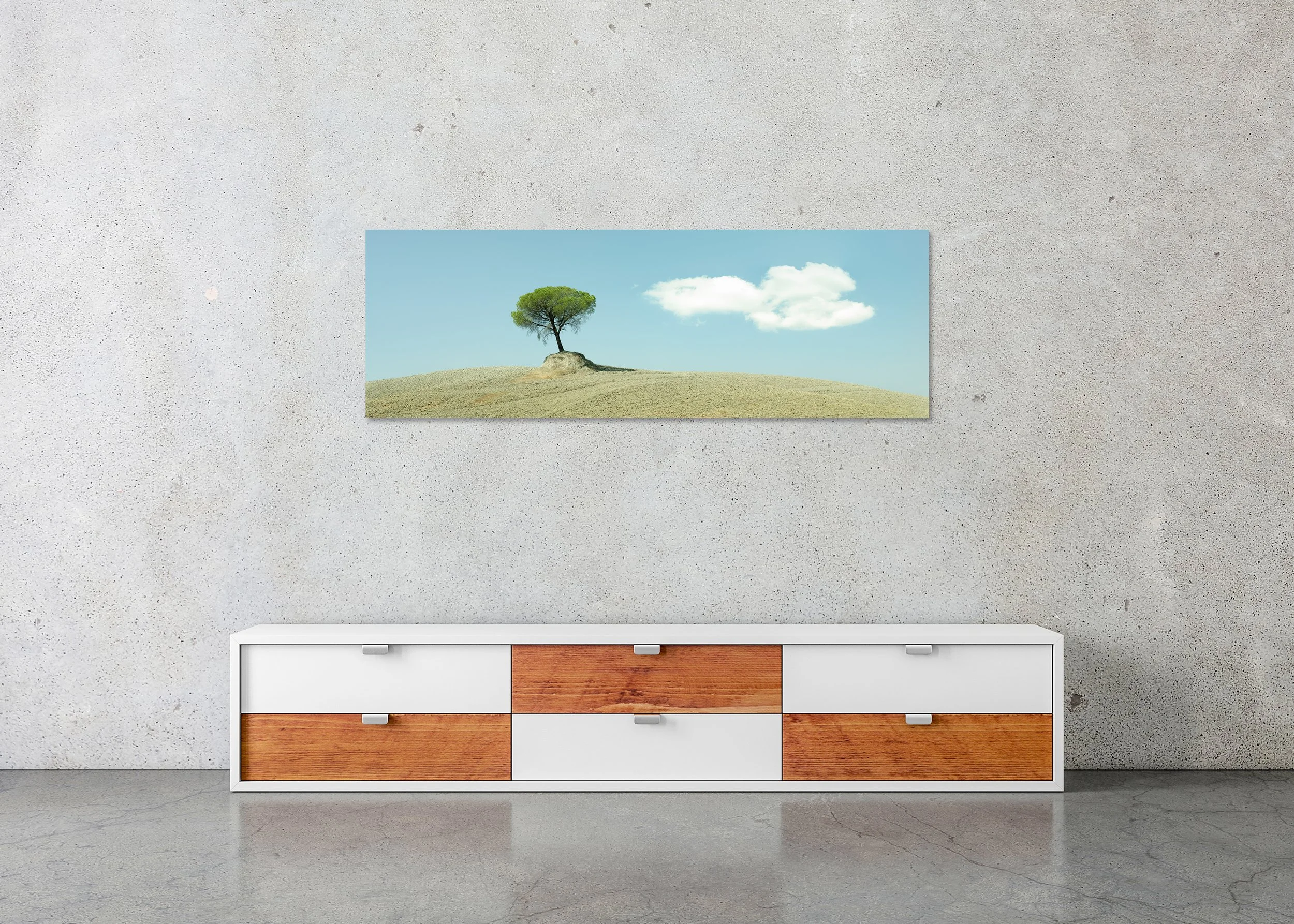 Single green tree on a dry hillside in Tuscany beneath a clear blue sky, photo print mounted to Dibond, frameless
