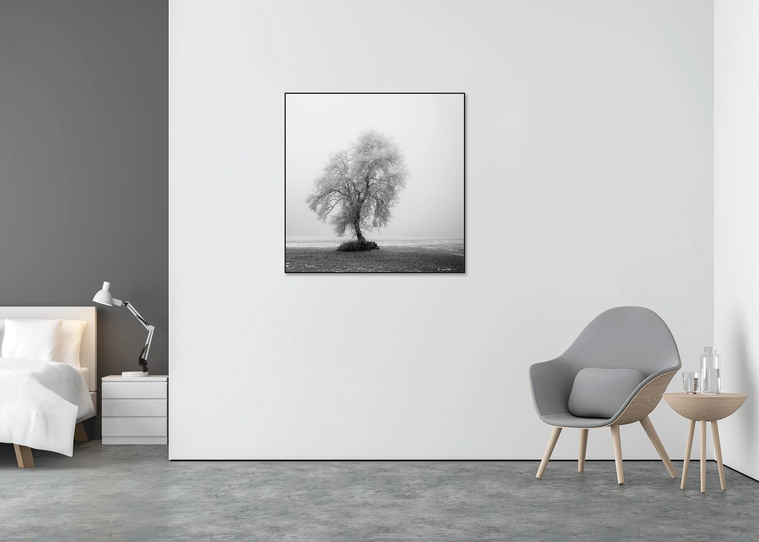 Fine art black and white photo print of a frost-covered leafless tree in a quiet winter meadow, mounted on Dibond in an aluminium ArtBox.