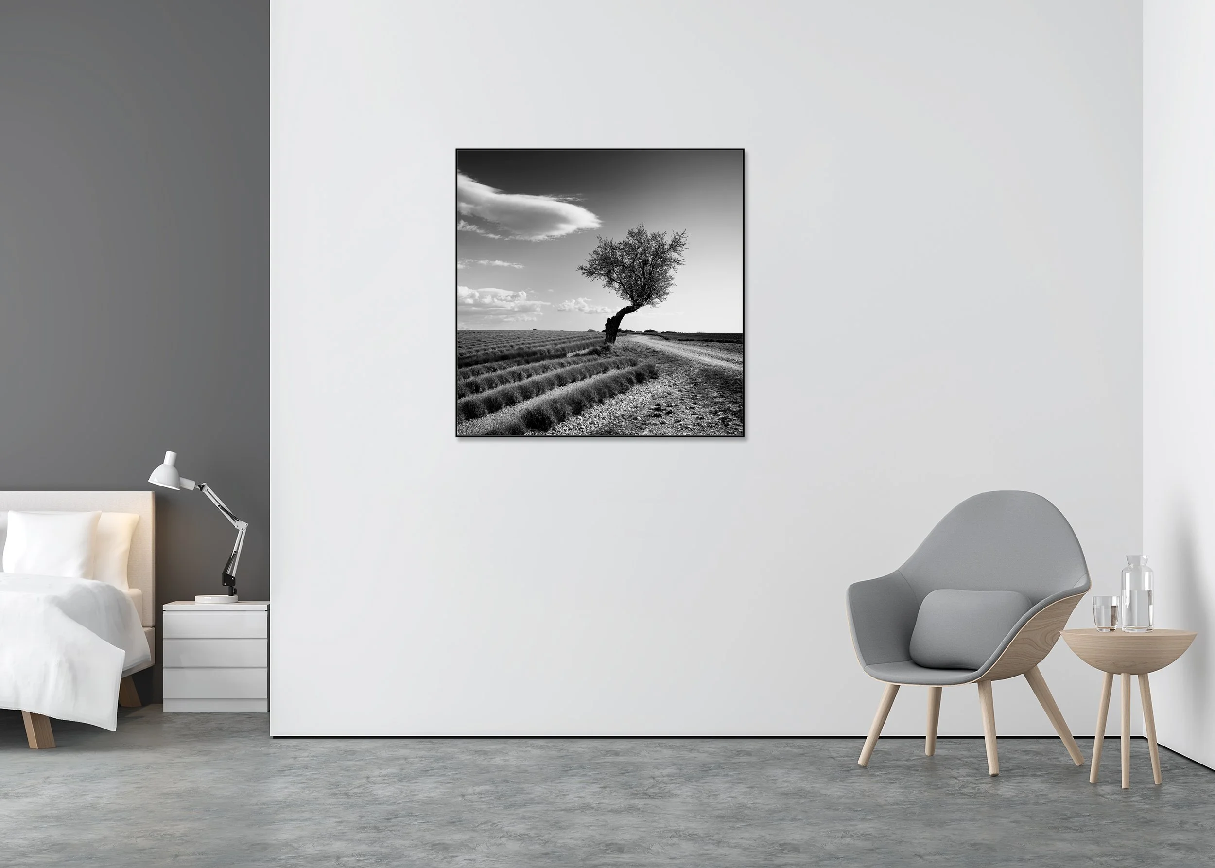 Black and white photo print of a solitary tree by a dirt road and lavender fields, mounted to Dibond in an aluminium ArtBox