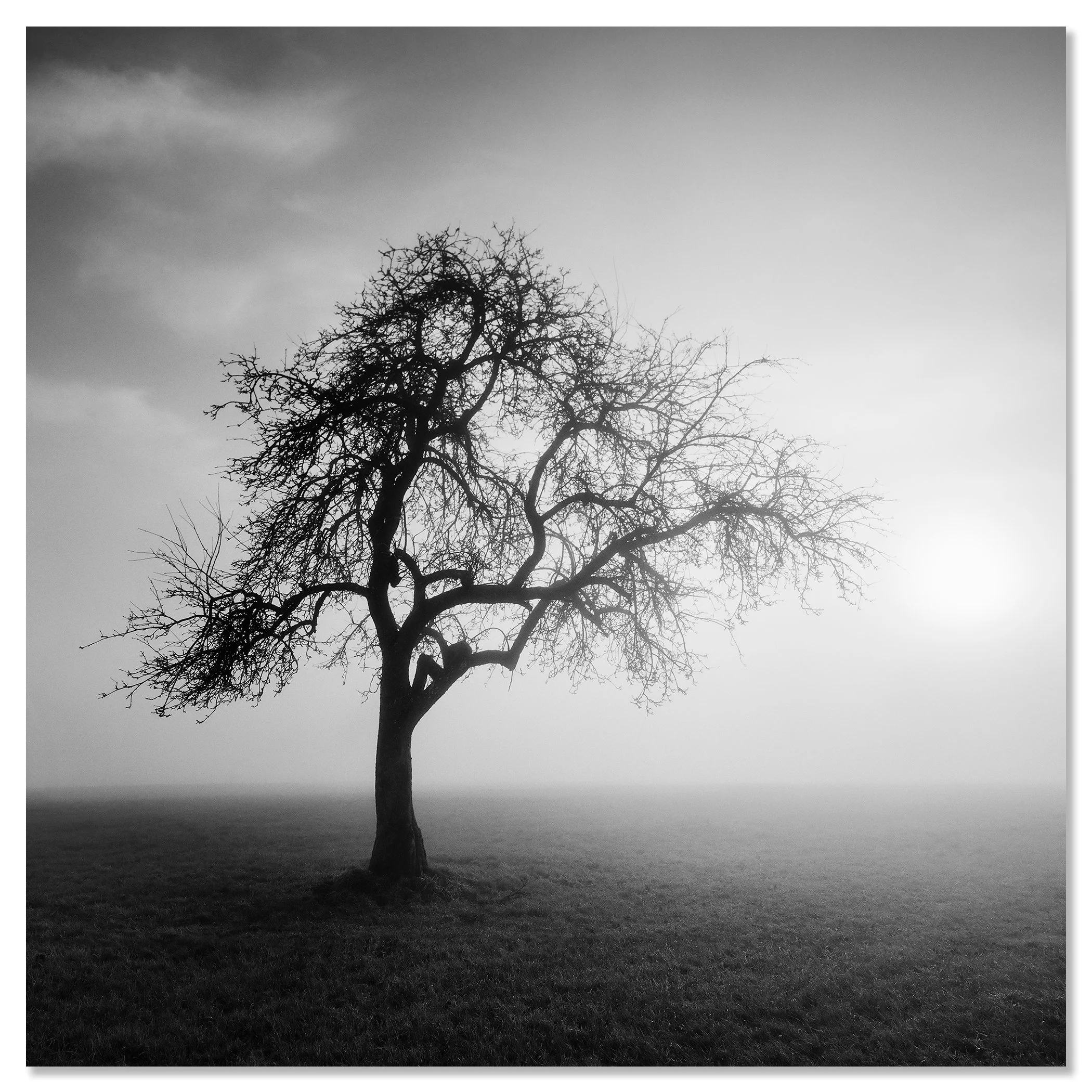 Foggy Morning, Study 1 – Austria, frameless black-and-white photograph mounted on aluminium Dibond.