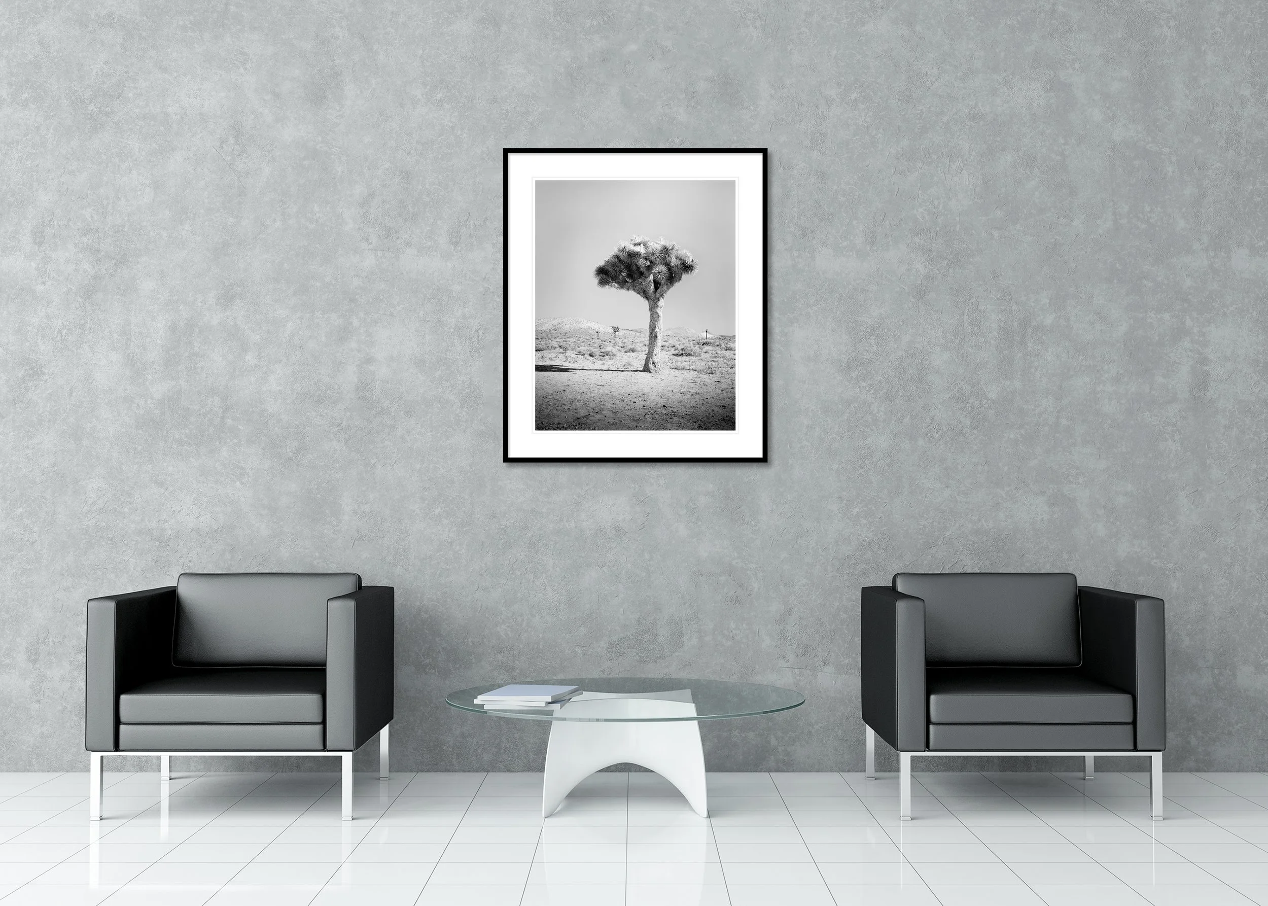 Joshua Tree Study 1 by Gerald Berghammer framed with a white mount in a contemporary interior