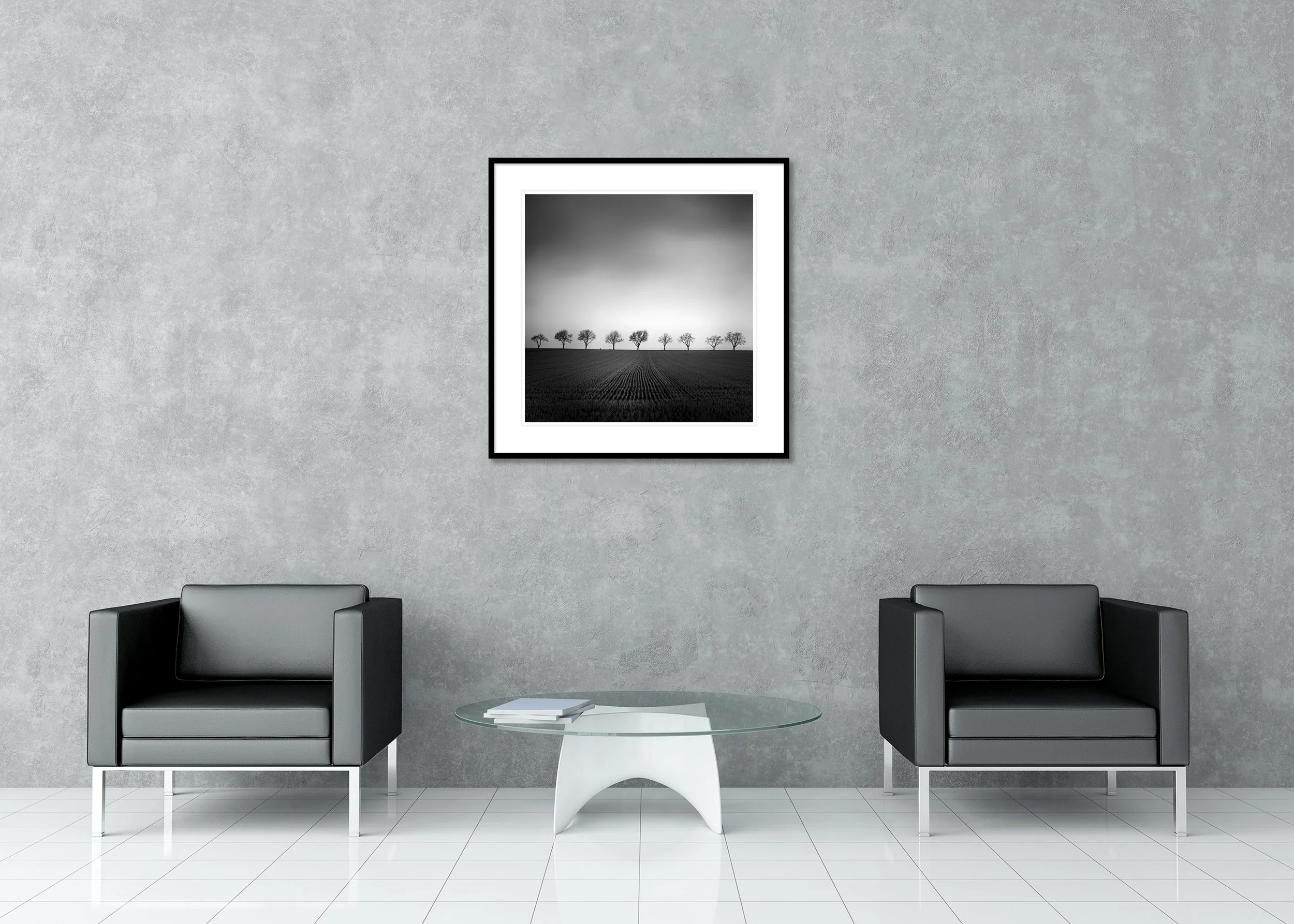 Row of winter trees across a dark field under a dramatic overcast sky, archival pigment print in a classic frame with a mount