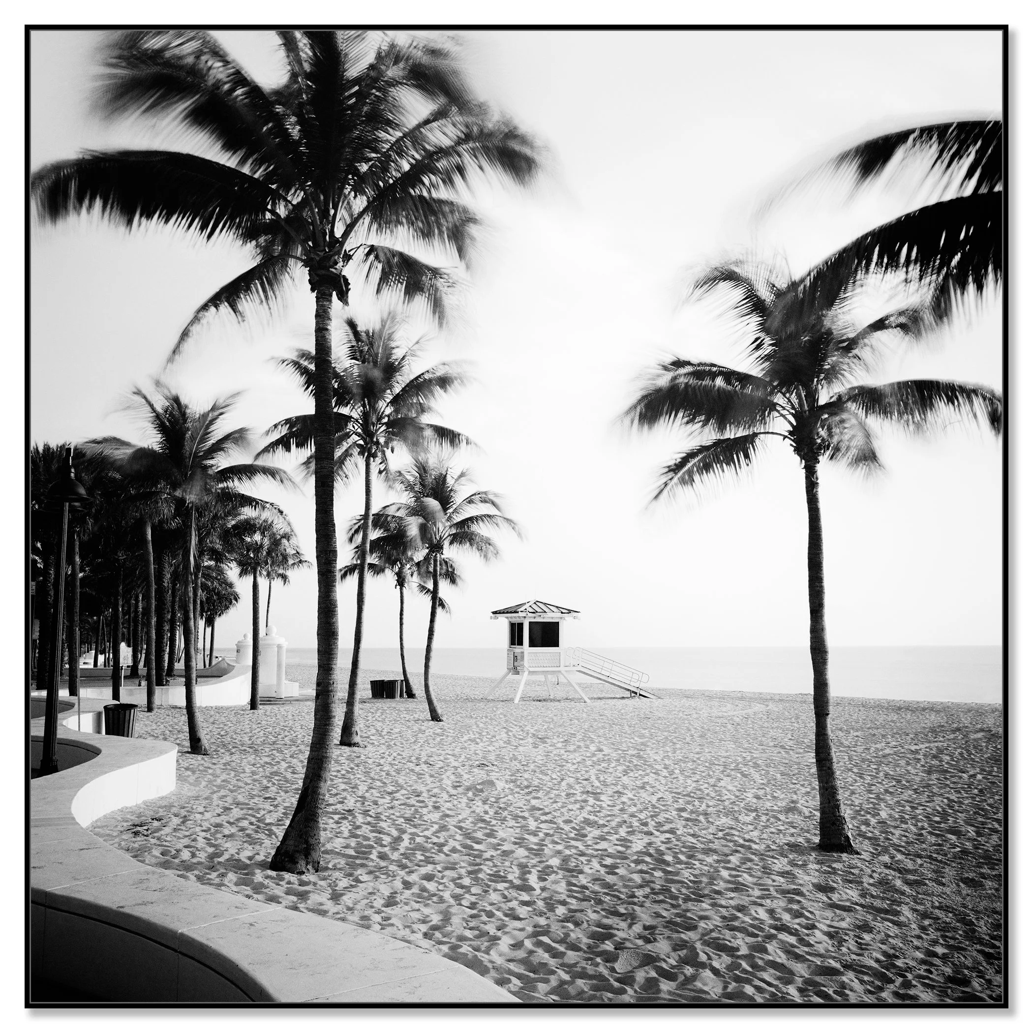 Black and white photo of a Florida beach with tall palm trees and a lifeguard tower – framed ArtBox black