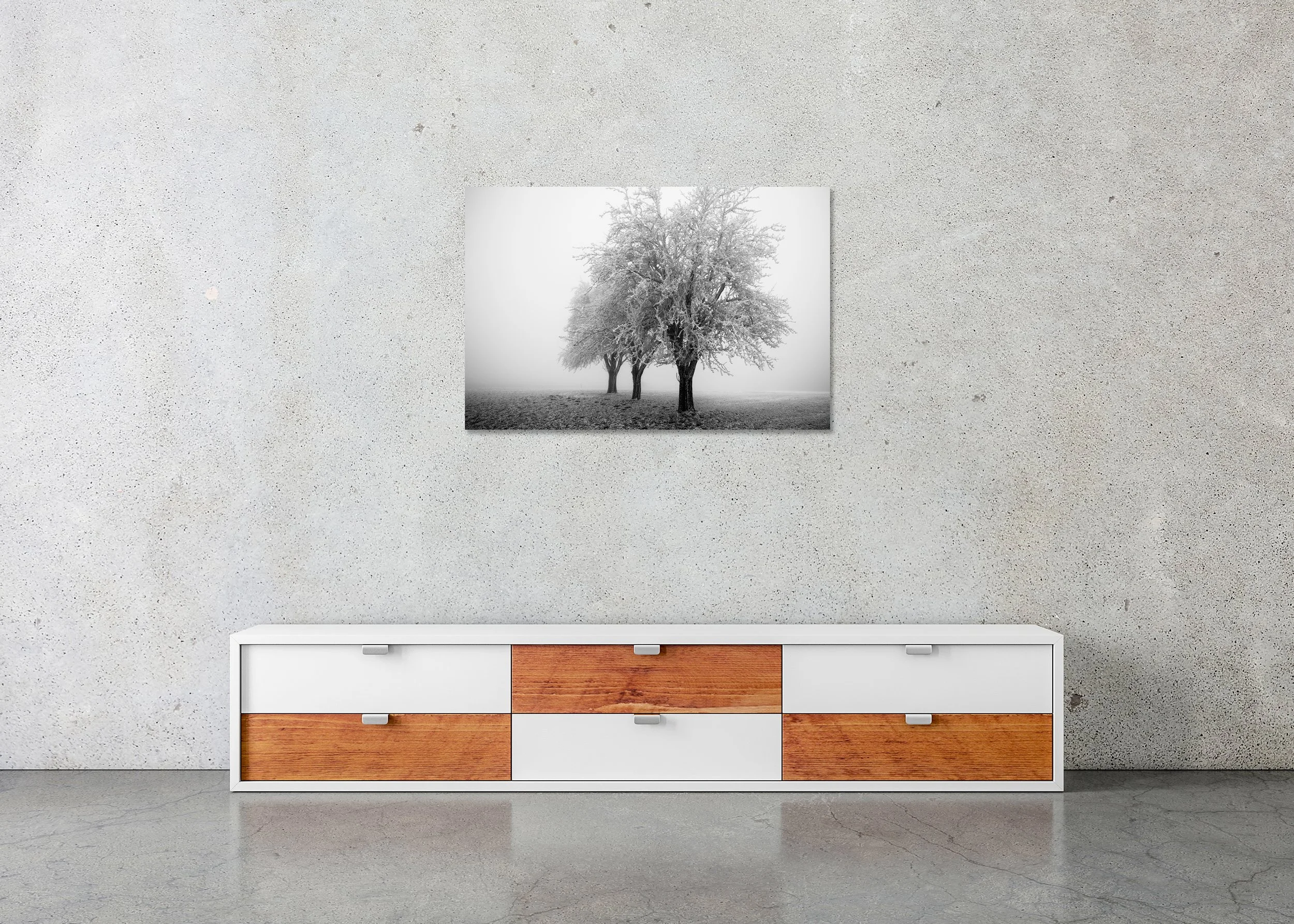 Snow-covered apple trees in dense fog across a quiet minimalist winter field, photo print mounted to Dibond, frameless.