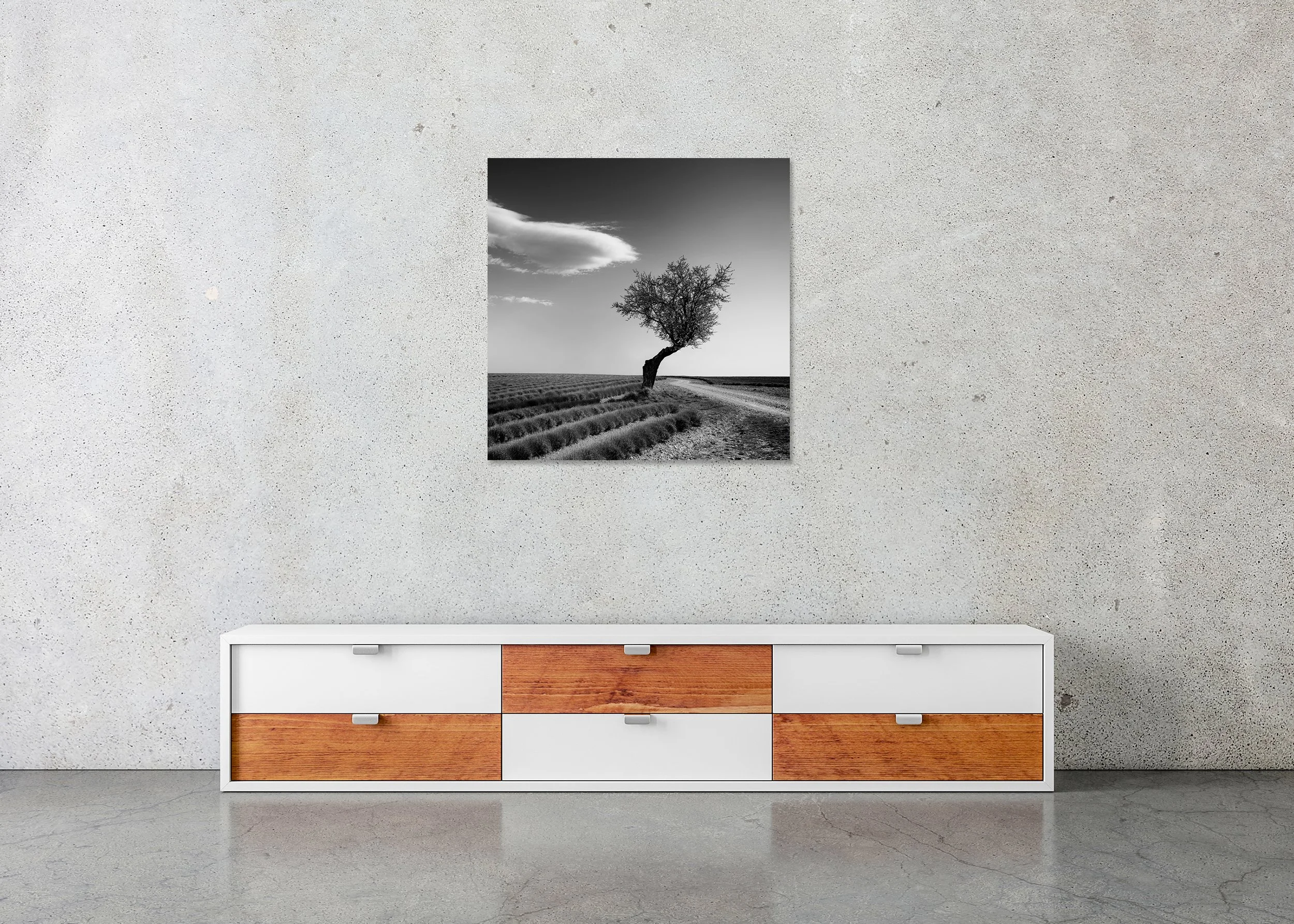 Lavender Field with Lonely Tree Study 1 by Gerald Berghammer, frameless black-and-white Dibond print displayed above a sideboard in a contemporary interior.