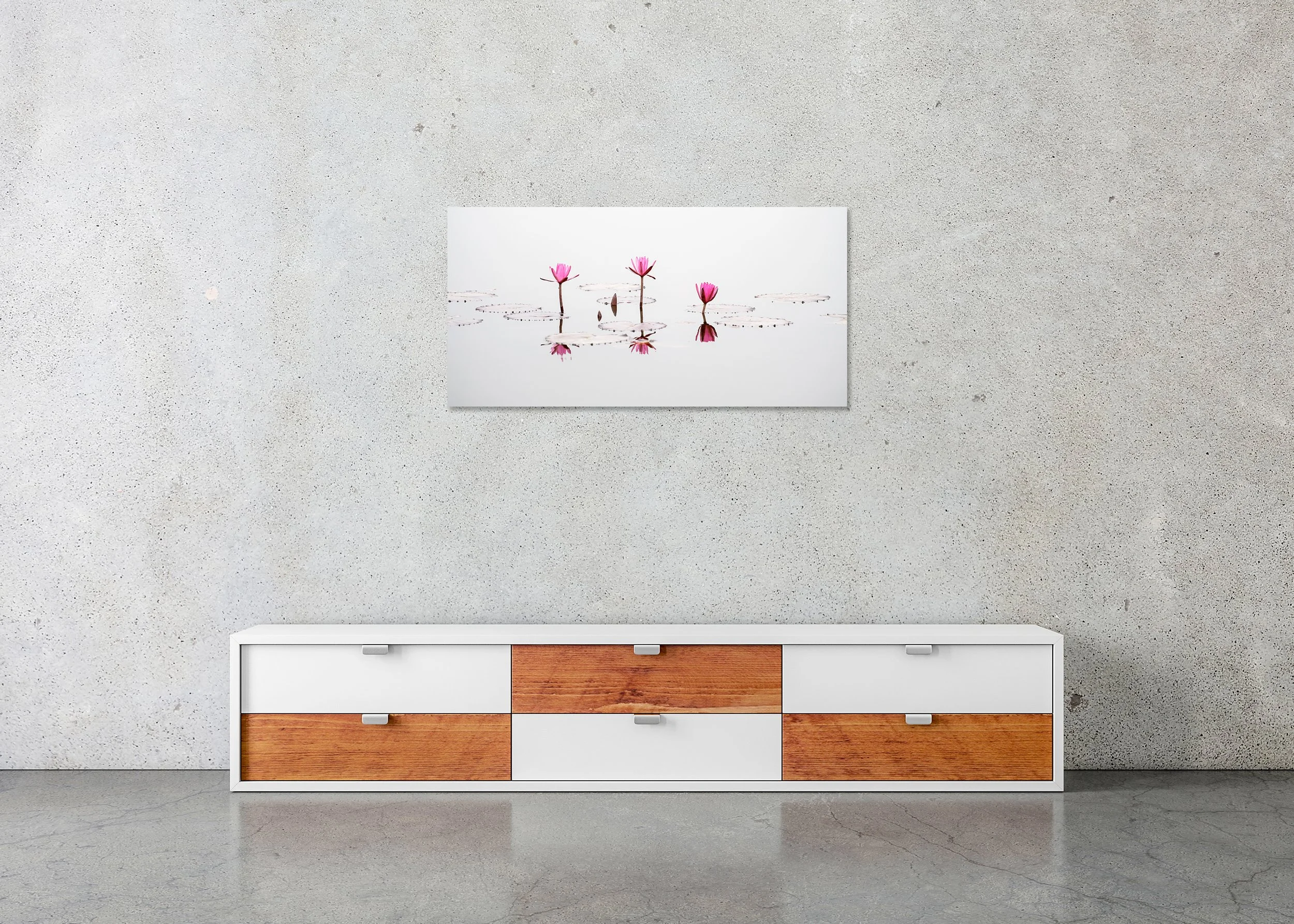 Gerald Berghammer - Three Pink Lotus Flower Panorama, Mekong Delta, Vietnam, ChromaLuxe print on aluminium, frameless