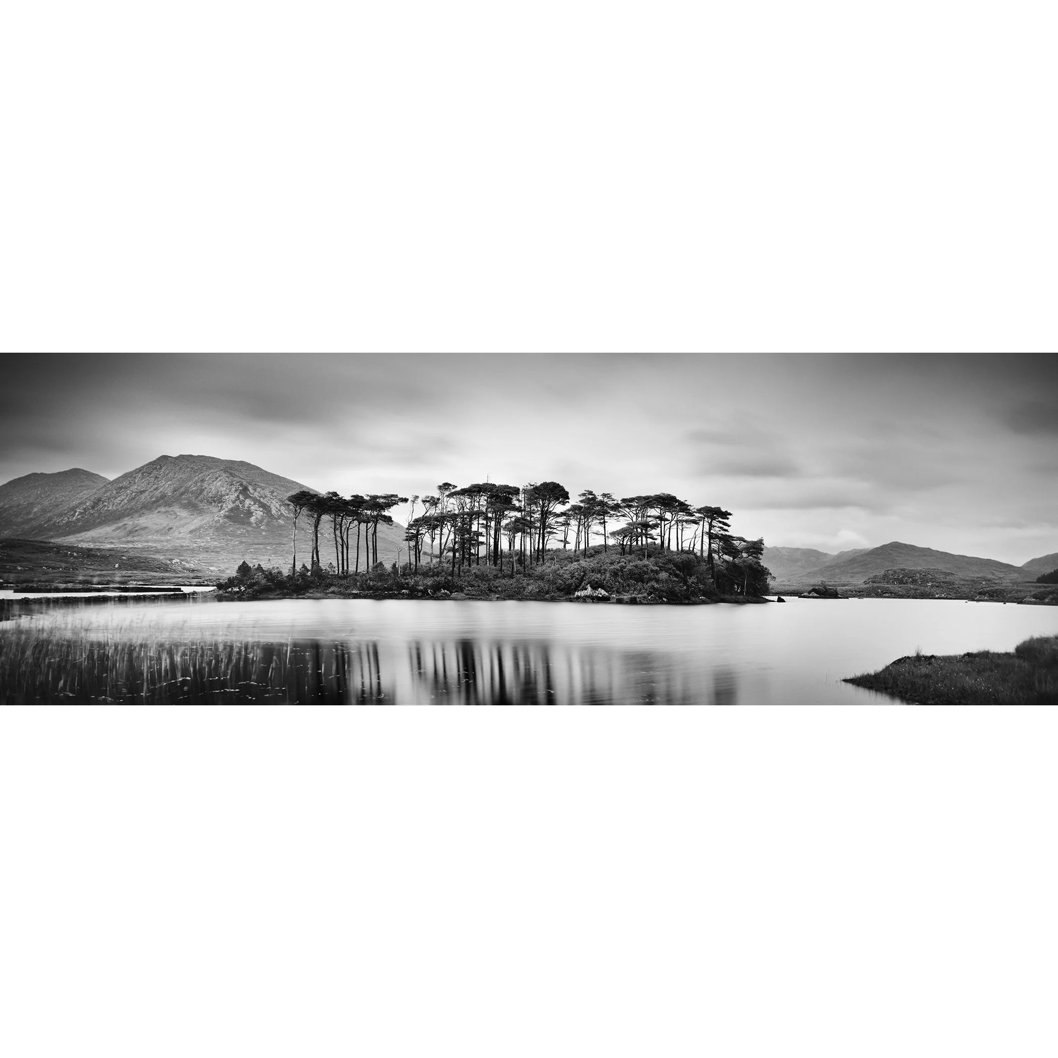 Gerald Berghammer - Black and white panorama landscape photography. Small island with tall trees, surrounded by water, mountains, and cloudy sky.