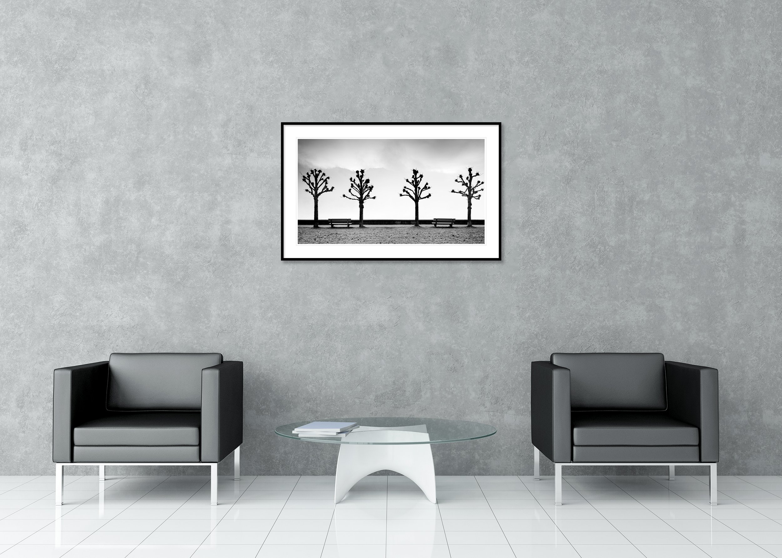 Esplanade with Chestnut Trees displayed in a modern interior as an archival pigment print in a black aluminium frame with white mount by Gerald Berghammer.