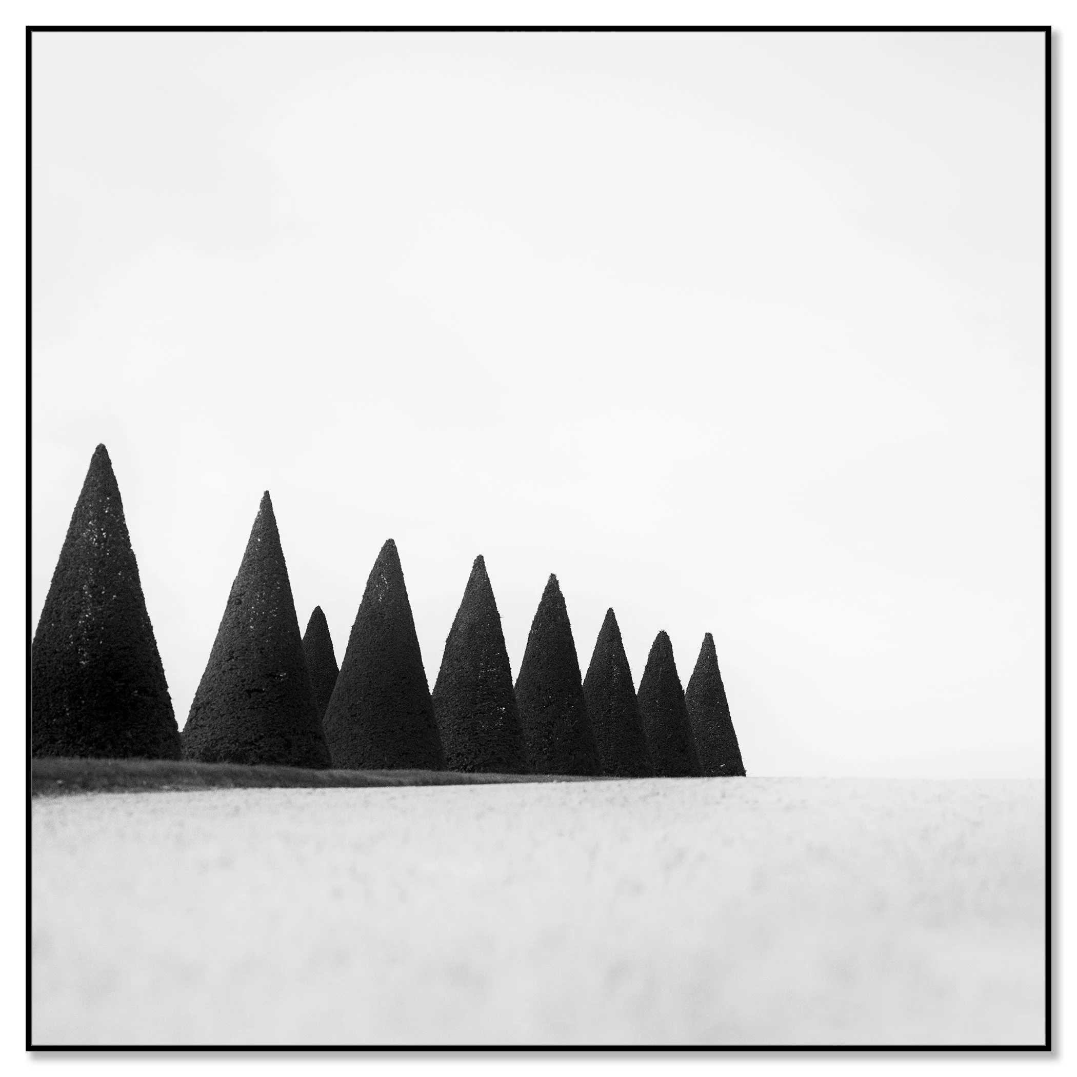 Hedges Study 3 – black-and-white fine art photograph in a black aluminium ArtBox frame by Gerald Berghammer.