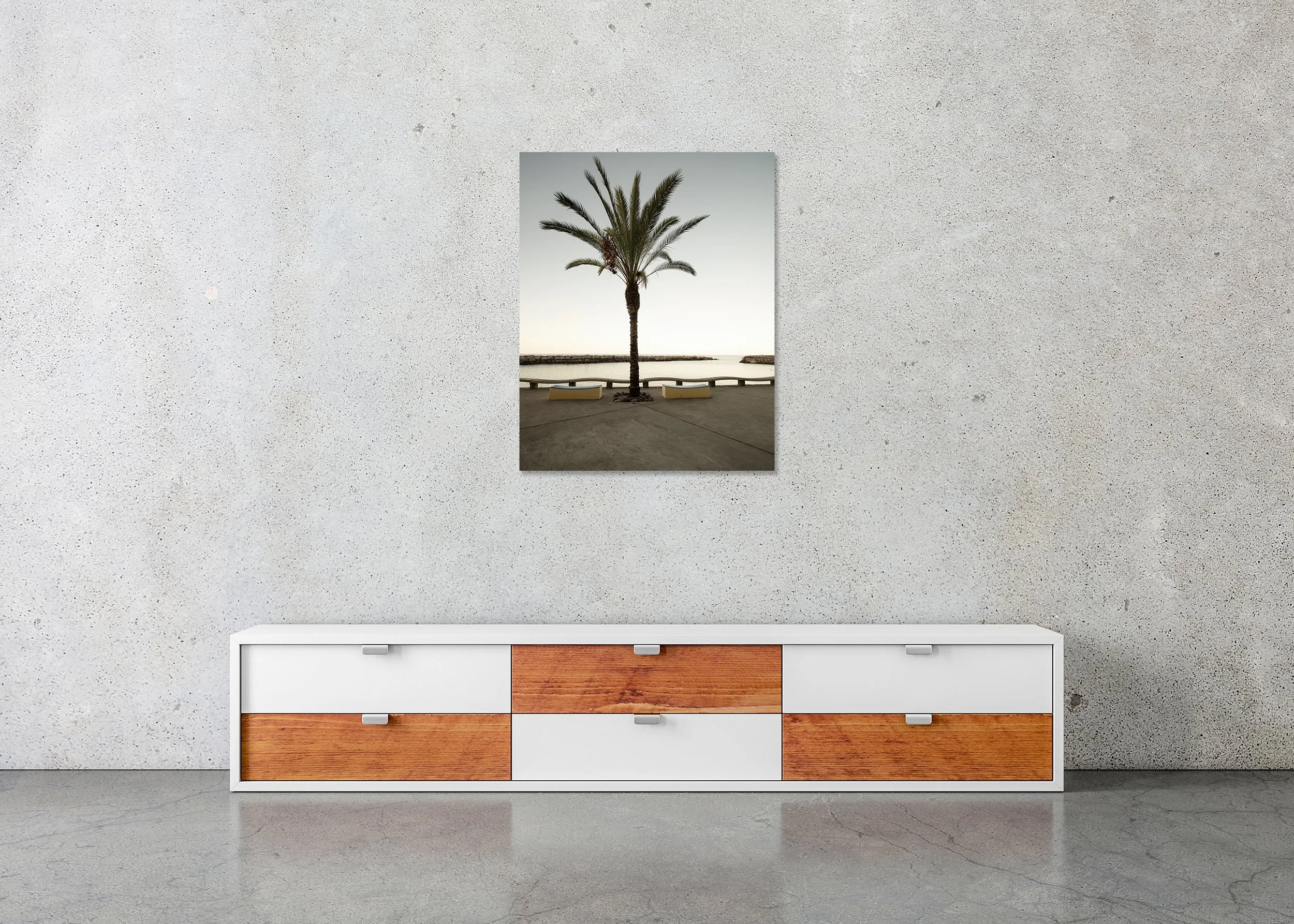 Centred palm tree on a calm seafront promenade with benches and a clear horizon in soft morning light, ChromaLuxe metal print frameless.