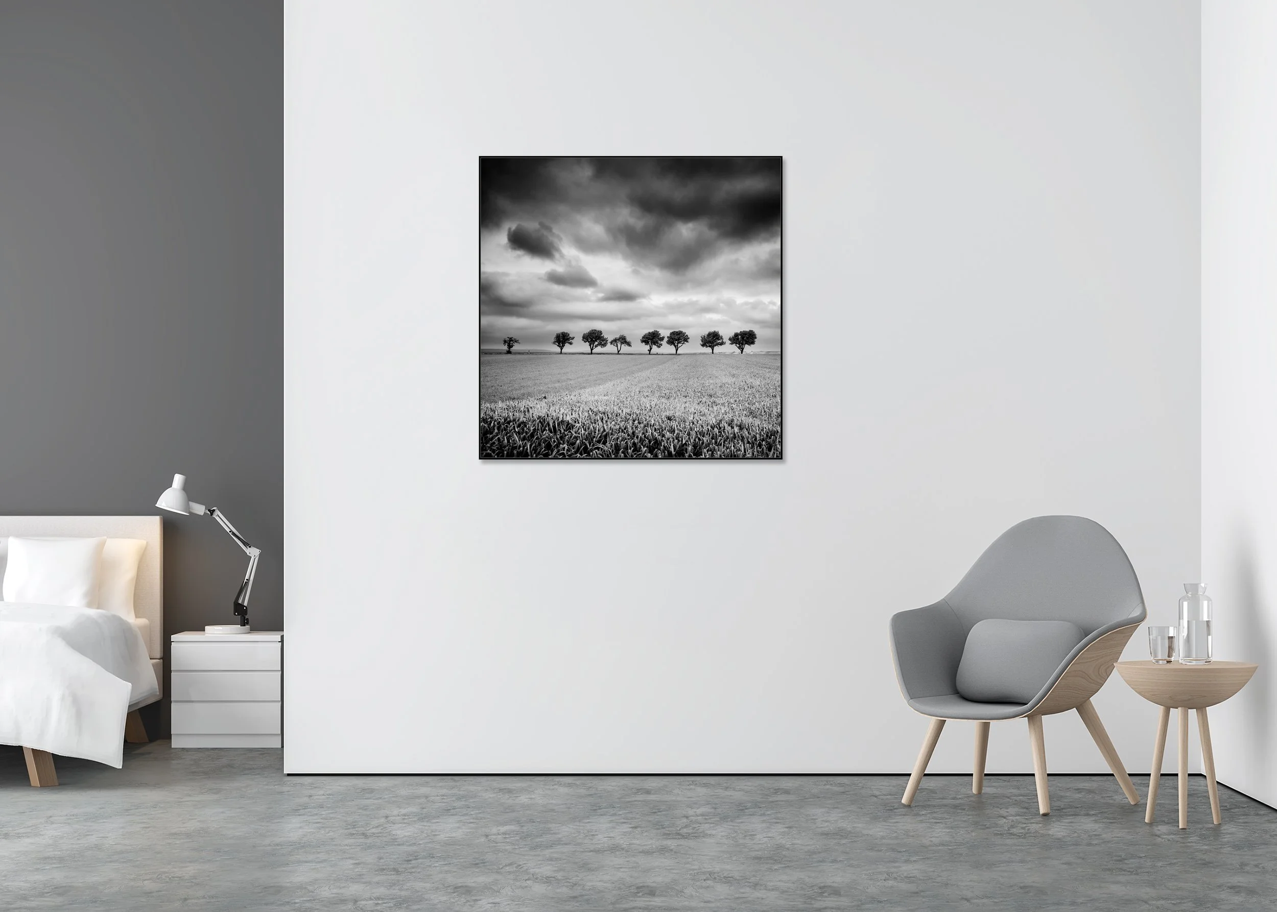 Gerald Berghammer - Row of Eleven Cherry Trees, stormy clouds, landscape, Austria, ChromaLuxe print, aluminium art box