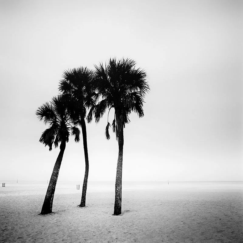 Palm Beach Study 1 – Florida, USA | Gerald Berghammer