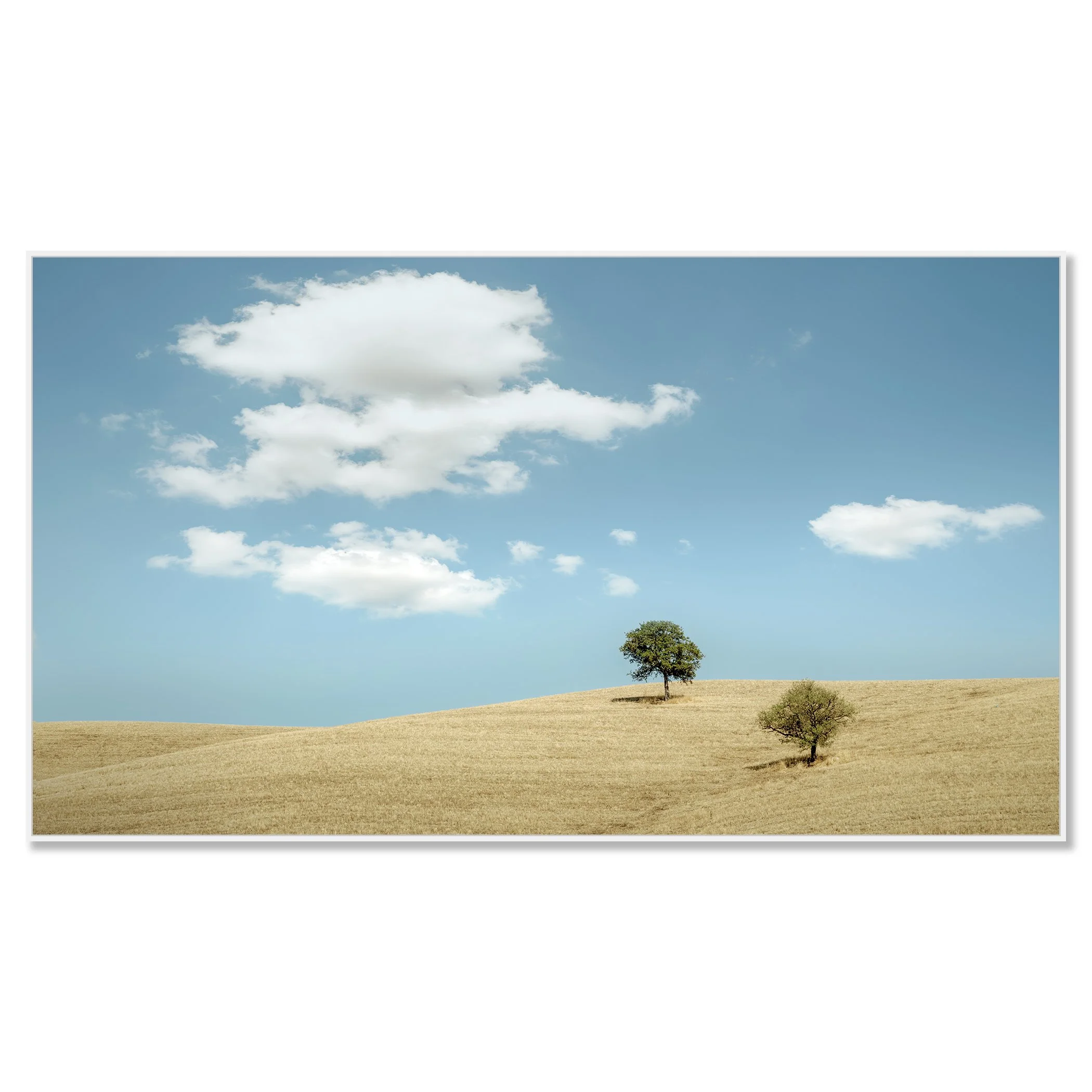 © 2021 Gerald Berghammer - Color minimalist Tuscany landscape photography. Two trees on a grassy hill under a blue sky with white clouds. Chromaluxe framed white