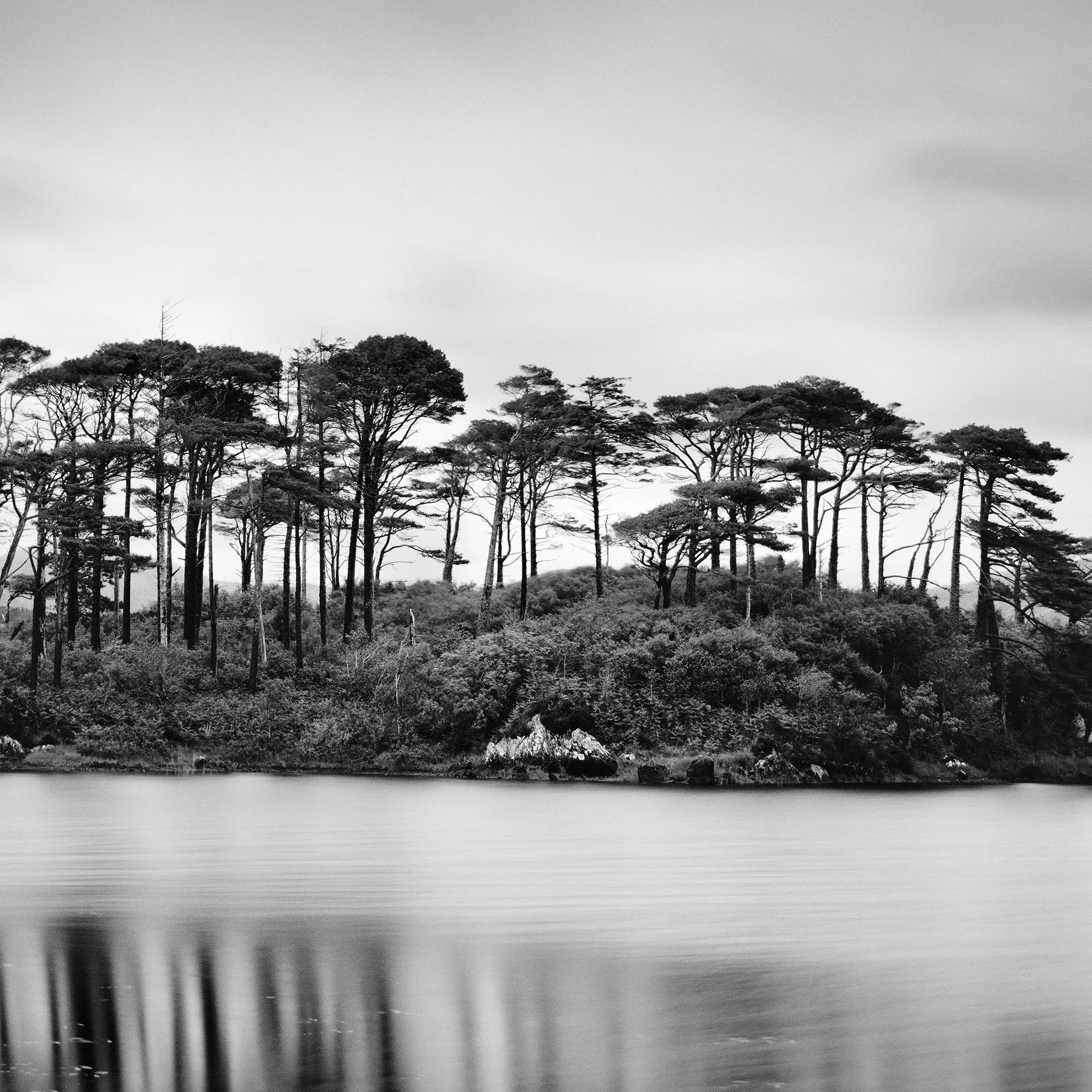 Gerald Berghammer - Black and white panorama landscape photography. Small island with tall trees, surrounded by water, mountains, and cloudy sky. Print detail 3