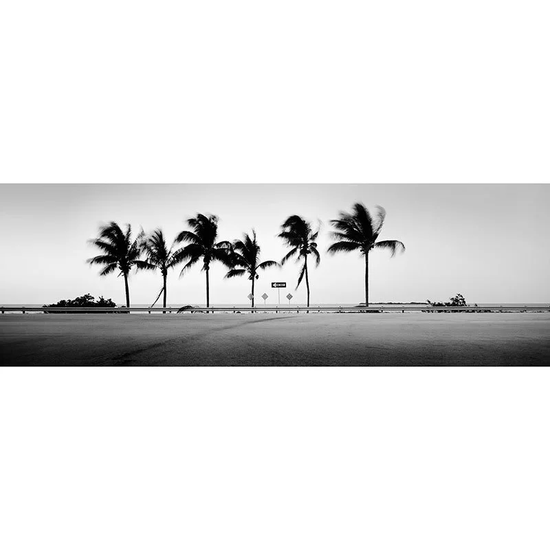 One Way Panorama Study 1 – Florida, USA | Gerald Berghammer