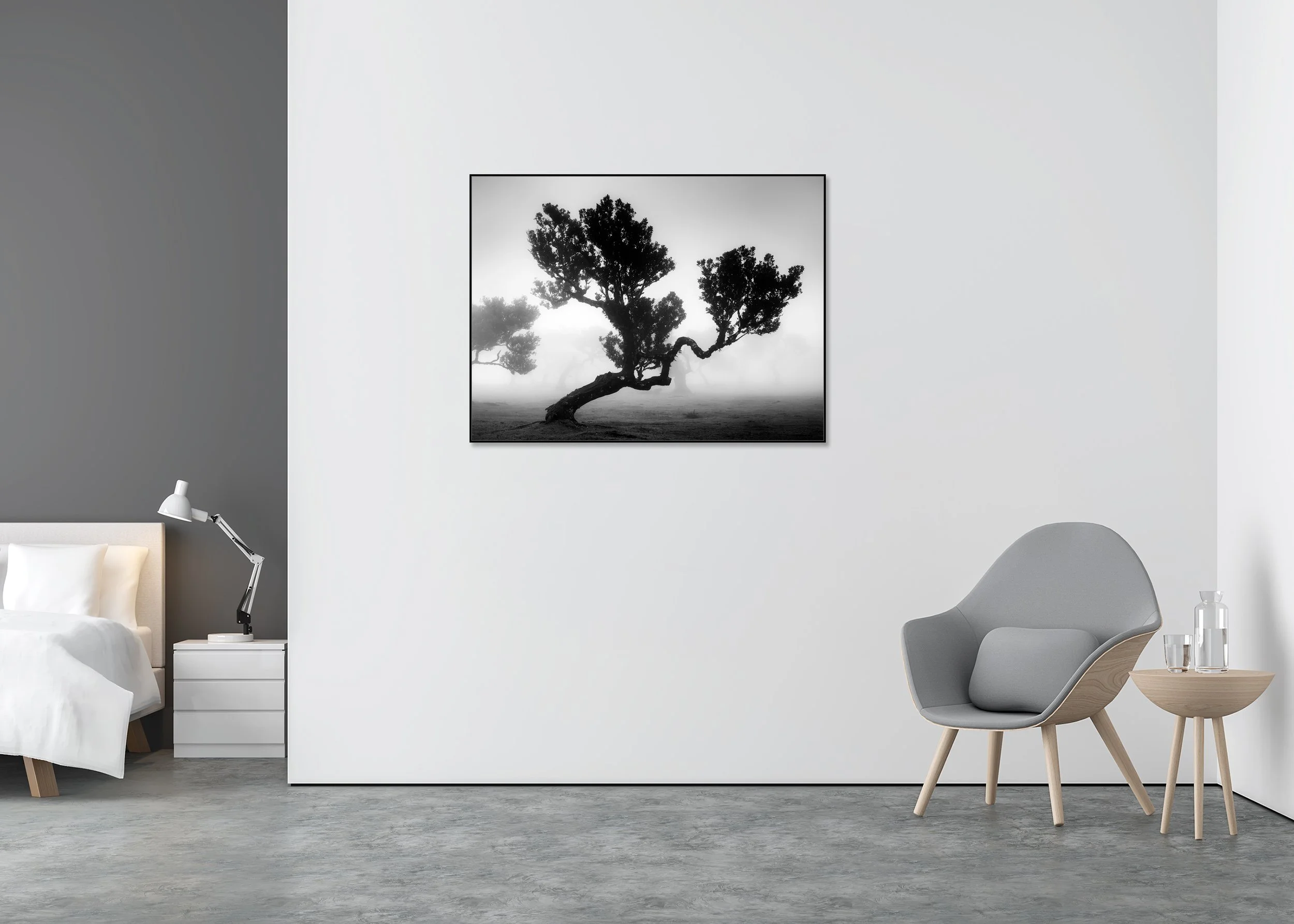 Ancient Laurisilva Forest, Study 3, displayed as a black-and-white Dibond print in a black aluminium ArtBox in a minimalist bedroom.