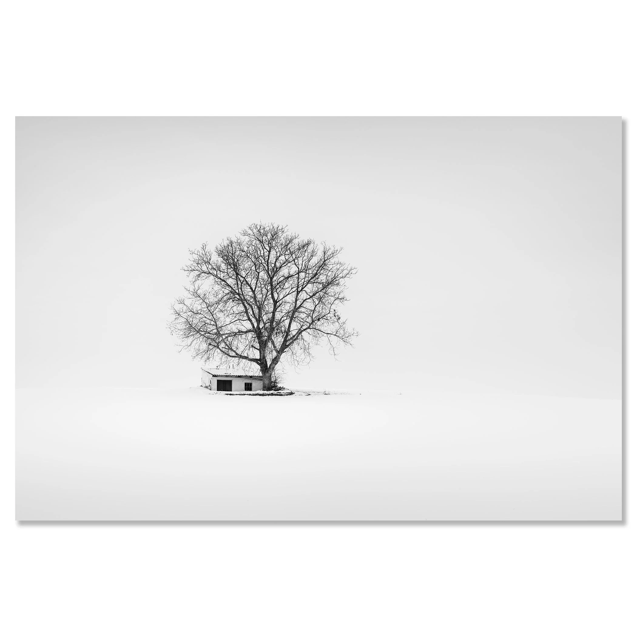 Wine Press House Winter Study 2 as a frameless black-and-white aluminium Dibond print by Gerald Berghammer.