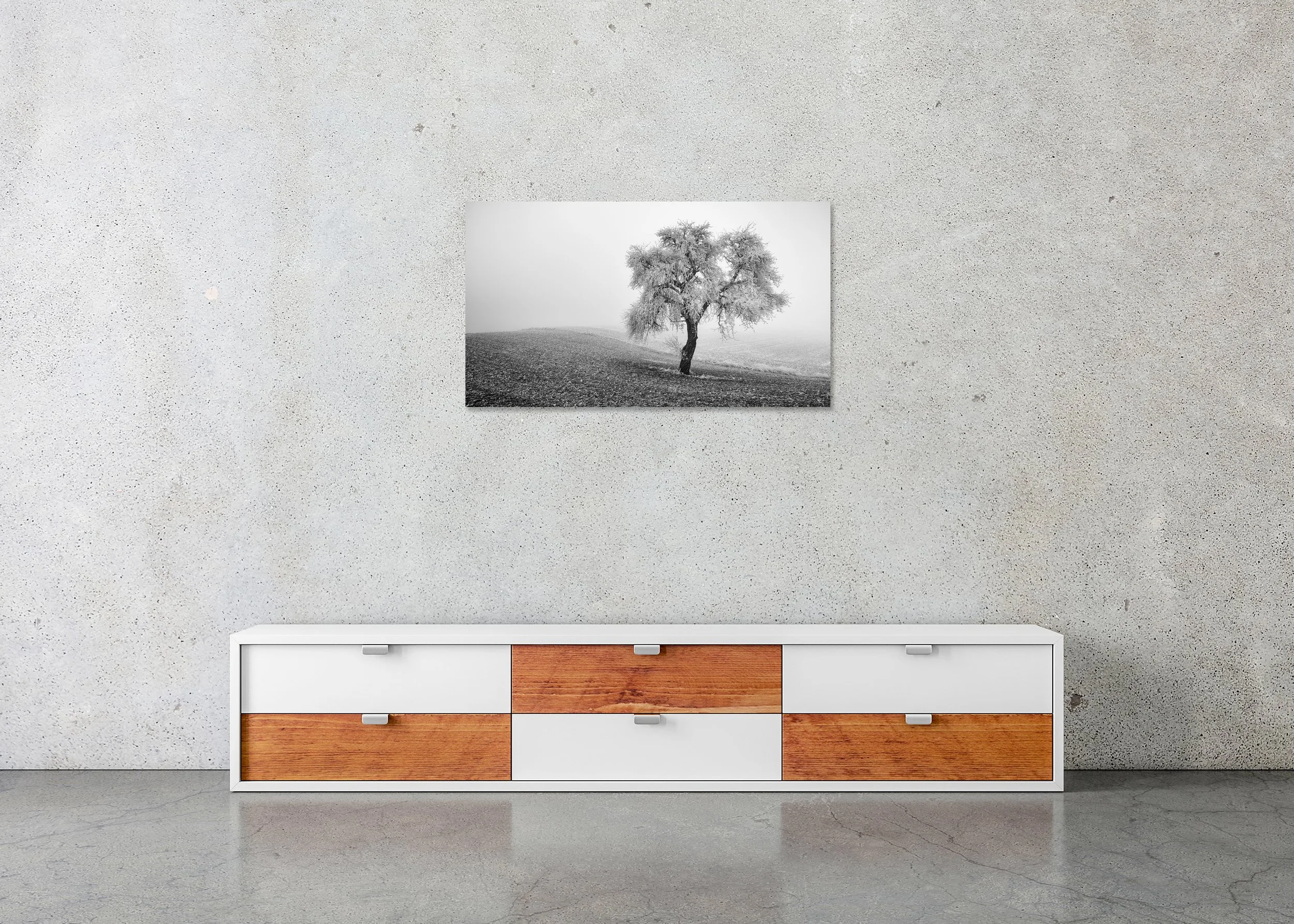 Tree in Frozen Field Panorama Study 1 displayed in a modern interior as a frameless black-and-white aluminium Dibond print by Gerald Berghammer.