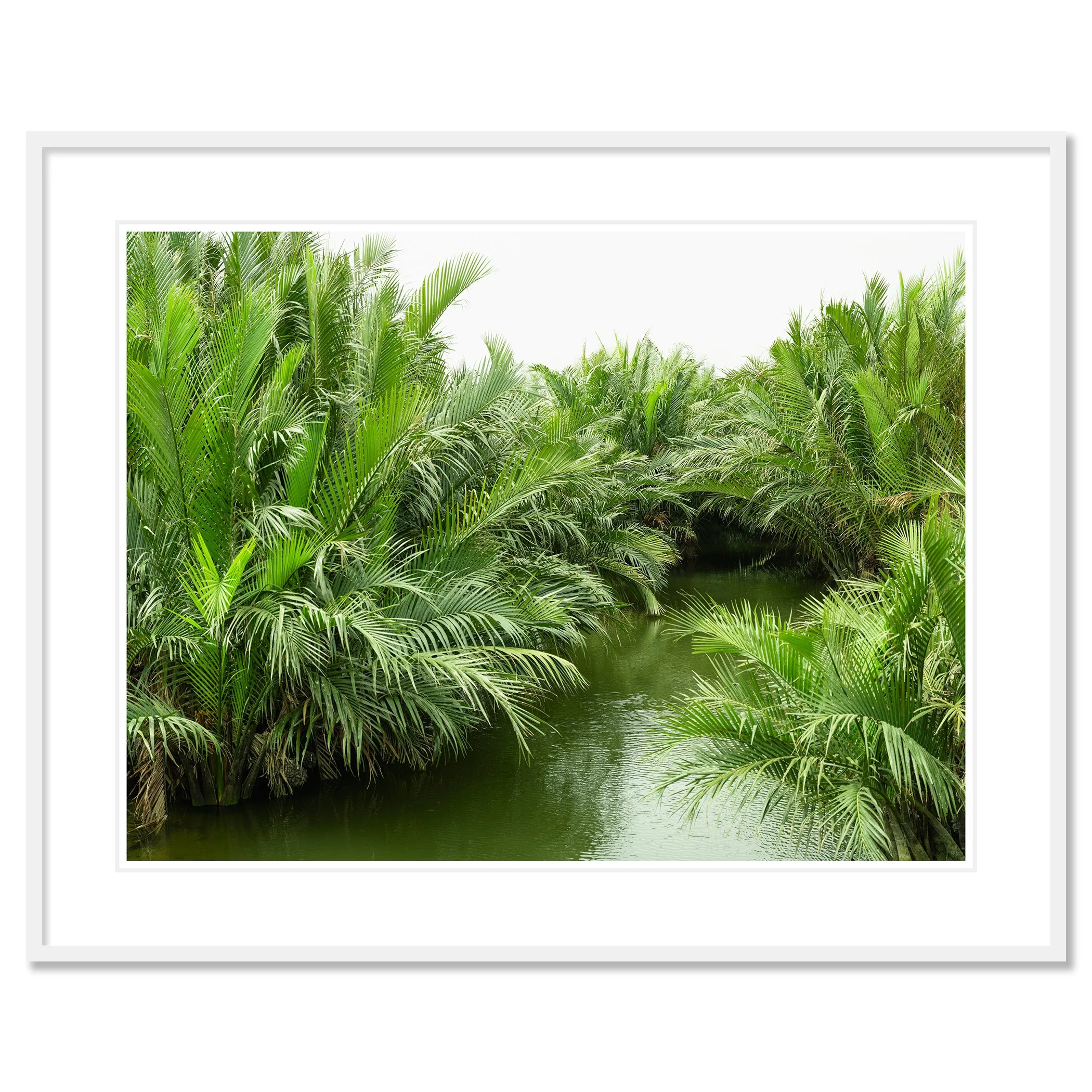 Gerald Berghammer - Color minimalist landscape photography. Lush tropical greenery with palm trees and a narrow waterway in the center. Classis framed white