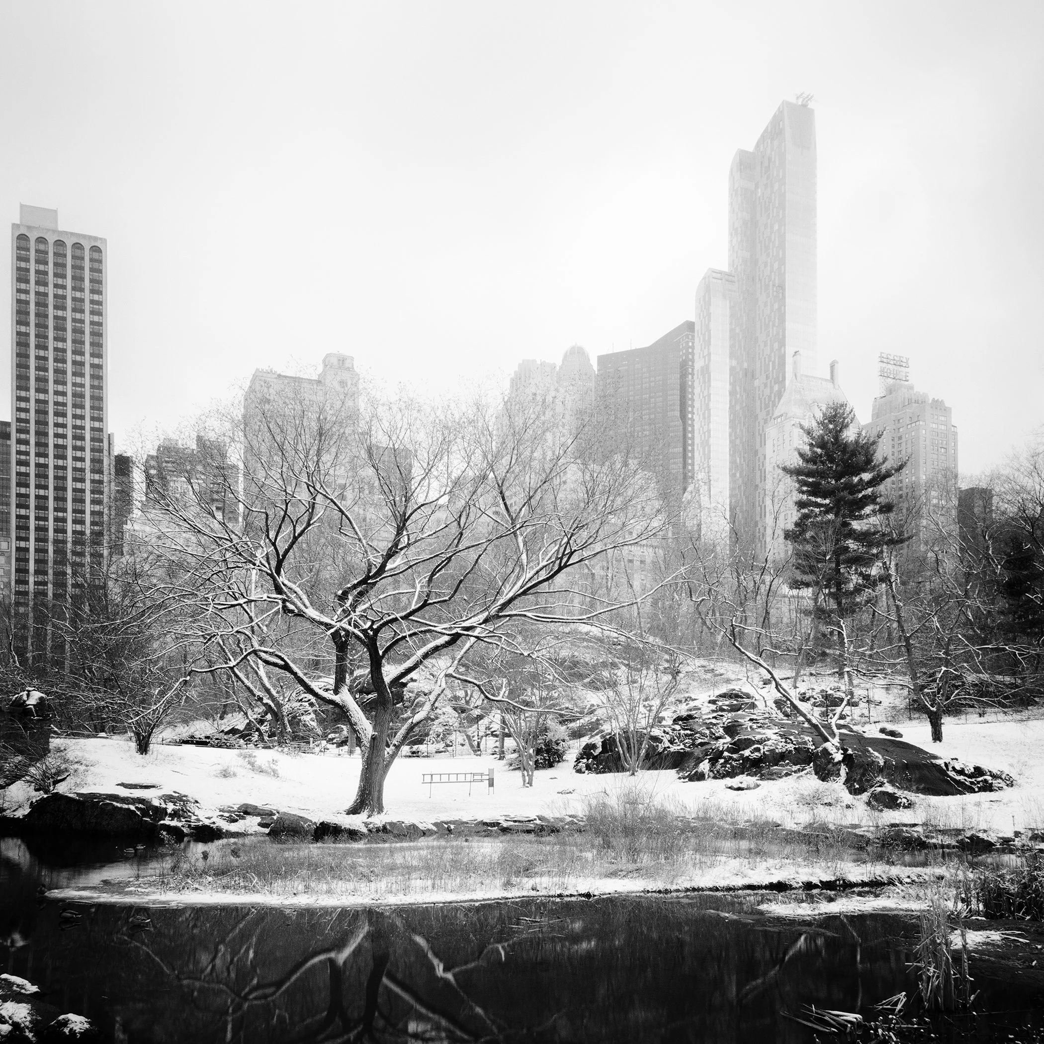 Snow-Covered Central Park Study 7 by Gerald Berghammer, black-and-white fine art photograph of Central Park and the Manhattan skyline in New York City.