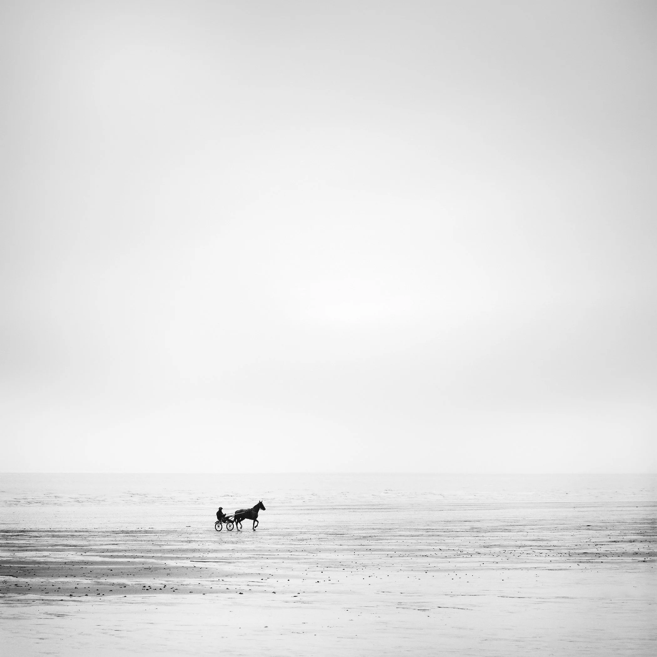 Black-and-white photograph of a harness-racing horse and driver on an empty beach in France by Gerald Berghammer.