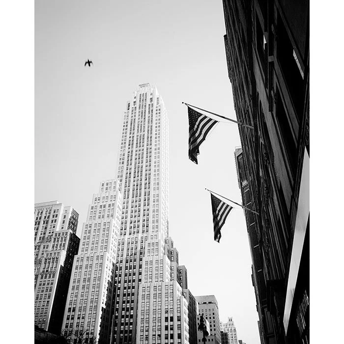 Bird in the City – New York City, USA | Gerald Berghammer
