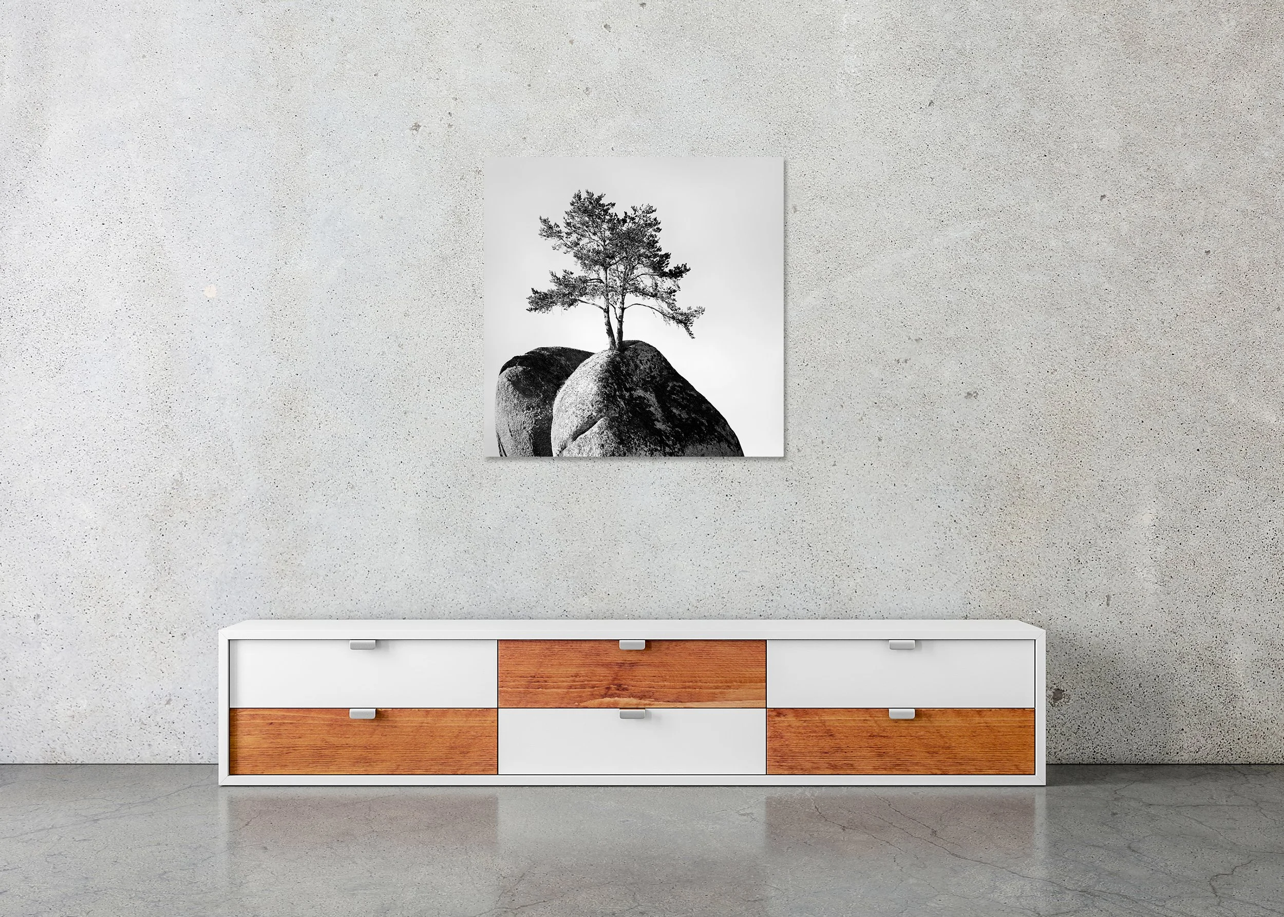 Lonely Tree on the Rock – Austria, frameless black-and-white photograph mounted on aluminium Dibond by Gerald Berghammer.