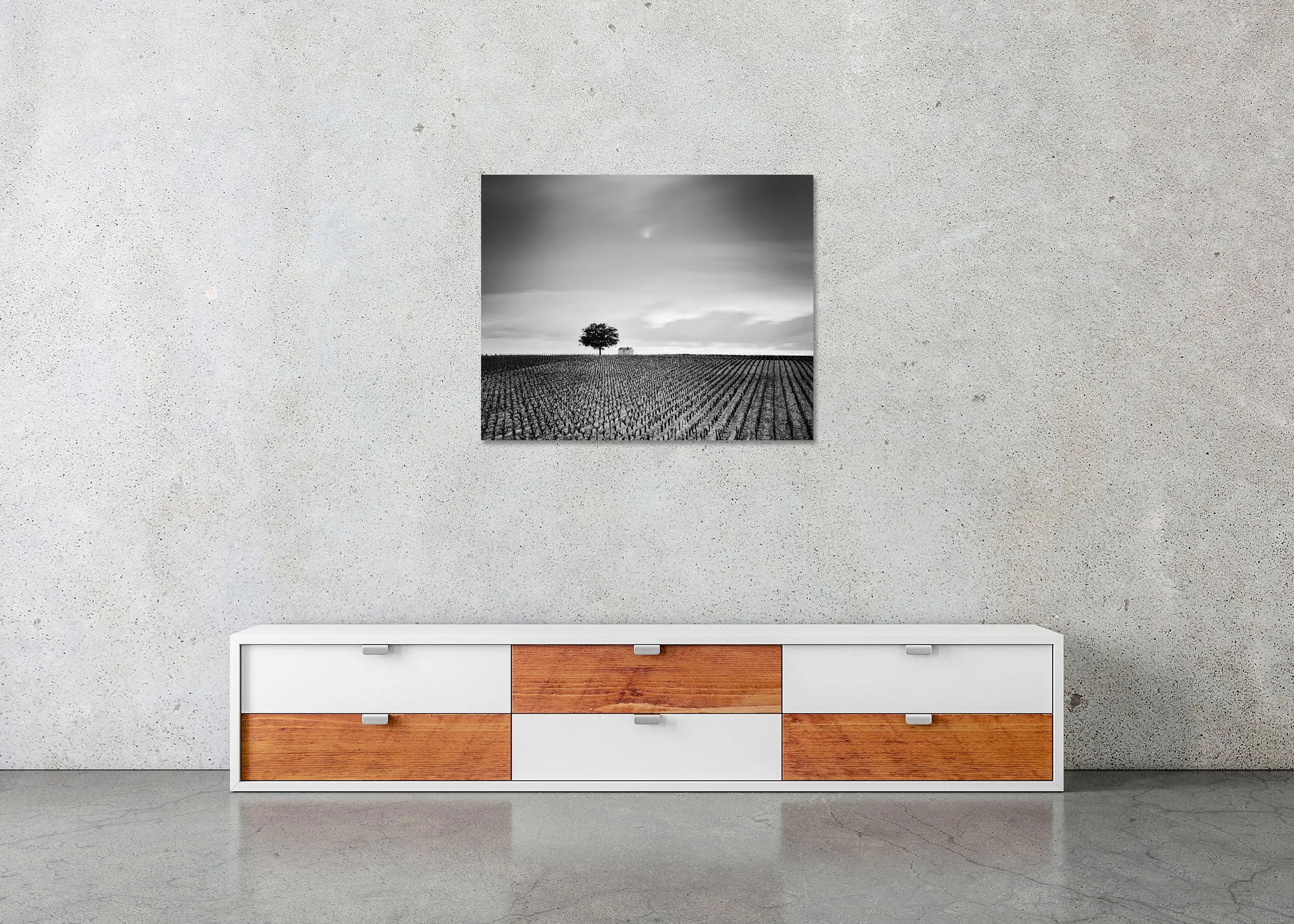 Champagne Paradise Study 2 in a contemporary interior, frameless Dibond presentation, by Gerald Berghammer