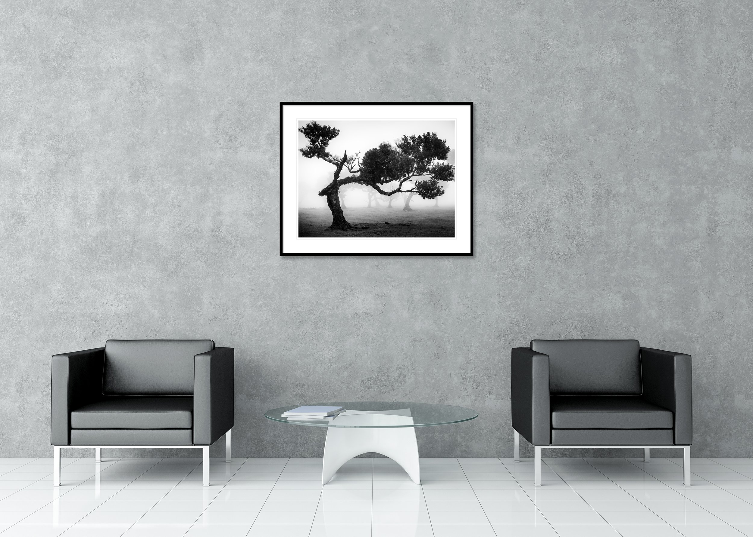 Ancient Laurisilva Forest Study 9 – Portugal, black-and-white archival pigment print in a classic frame with mount and anti-reflective glass