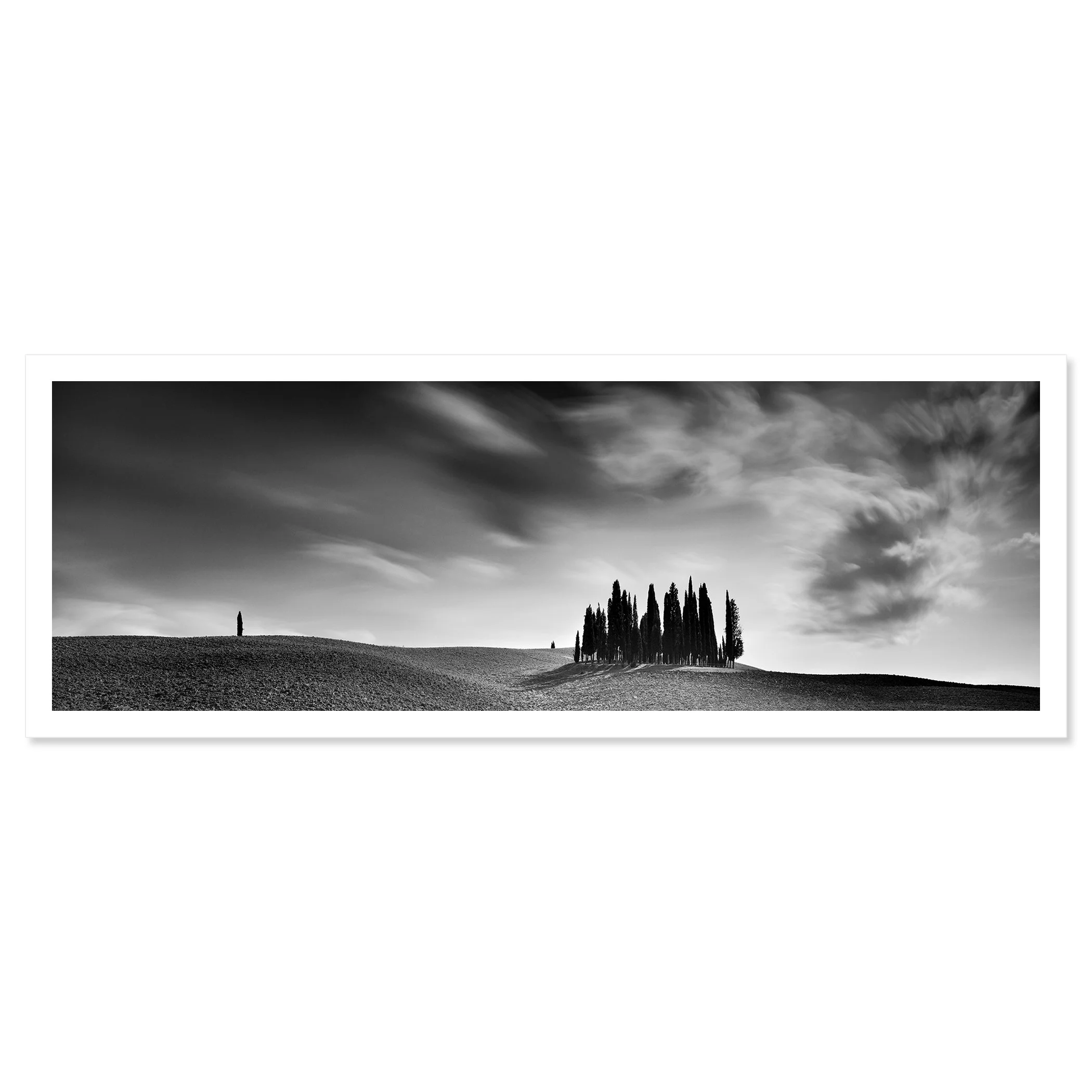 Cypress Hill Panorama Study 4 by Gerald Berghammer shown as a black-and-white fine-art print with white border.