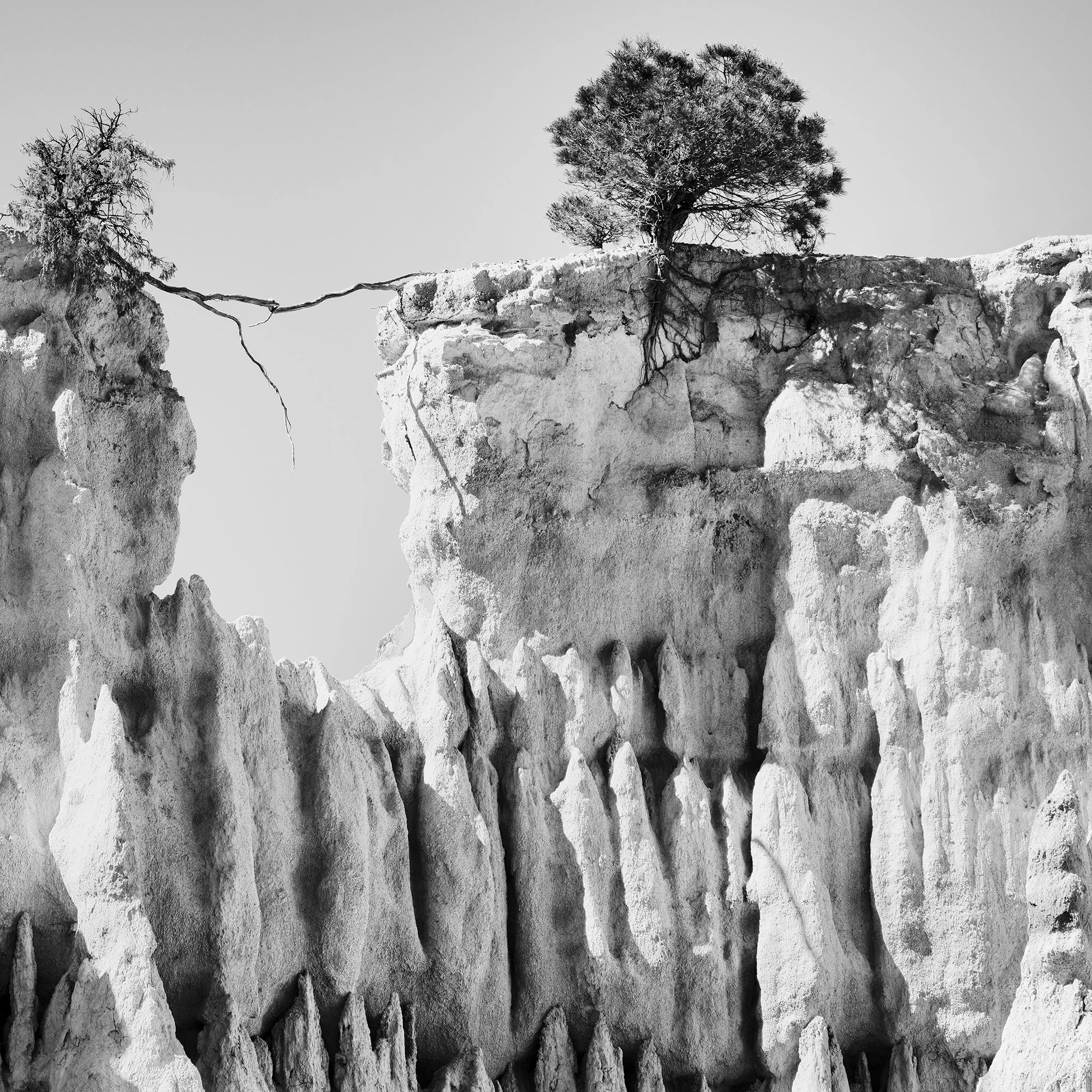 Detail of The Organs of Ille-sur-Tet Study 3 showing two trees above sculptural eroded formations in Ille-sur-Têt, France, by Gerald Berghammer.