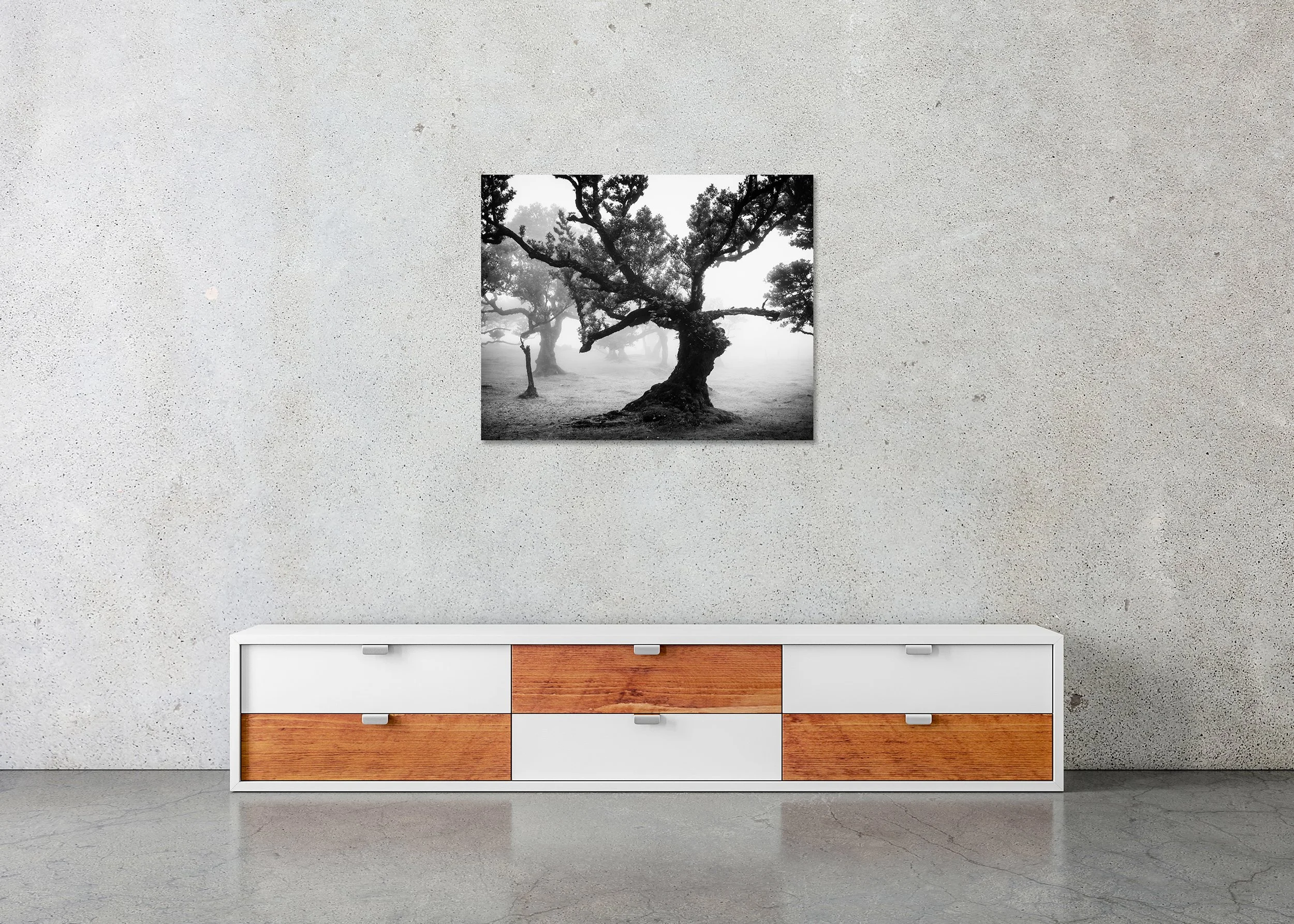Moody black-and-white landscape of a gnarled tree in fog in Madeira’s ancient Laurisilva rainforest as a frameless ChromaLuxe metal print