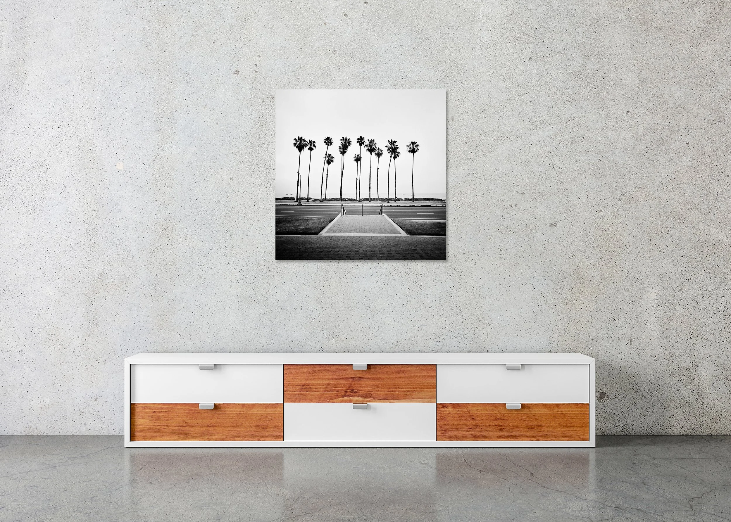 Palm Tree Study 1 displayed in a modern interior as a frameless black-and-white artwork mounted on aluminium Dibond by Gerald Berghammer.